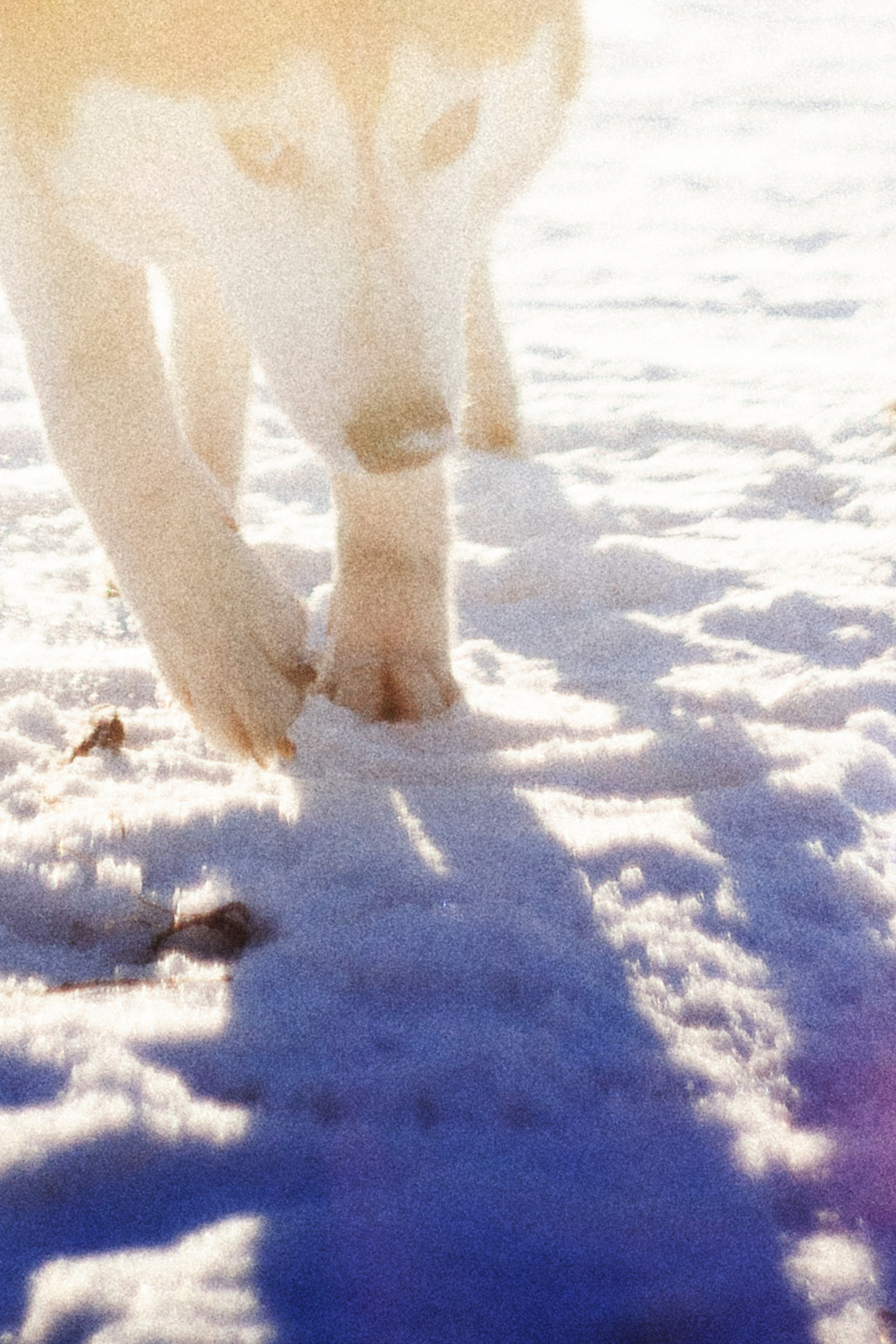 В Алексеевском саду. Фотограф Адигамова Юлия в Петербурге