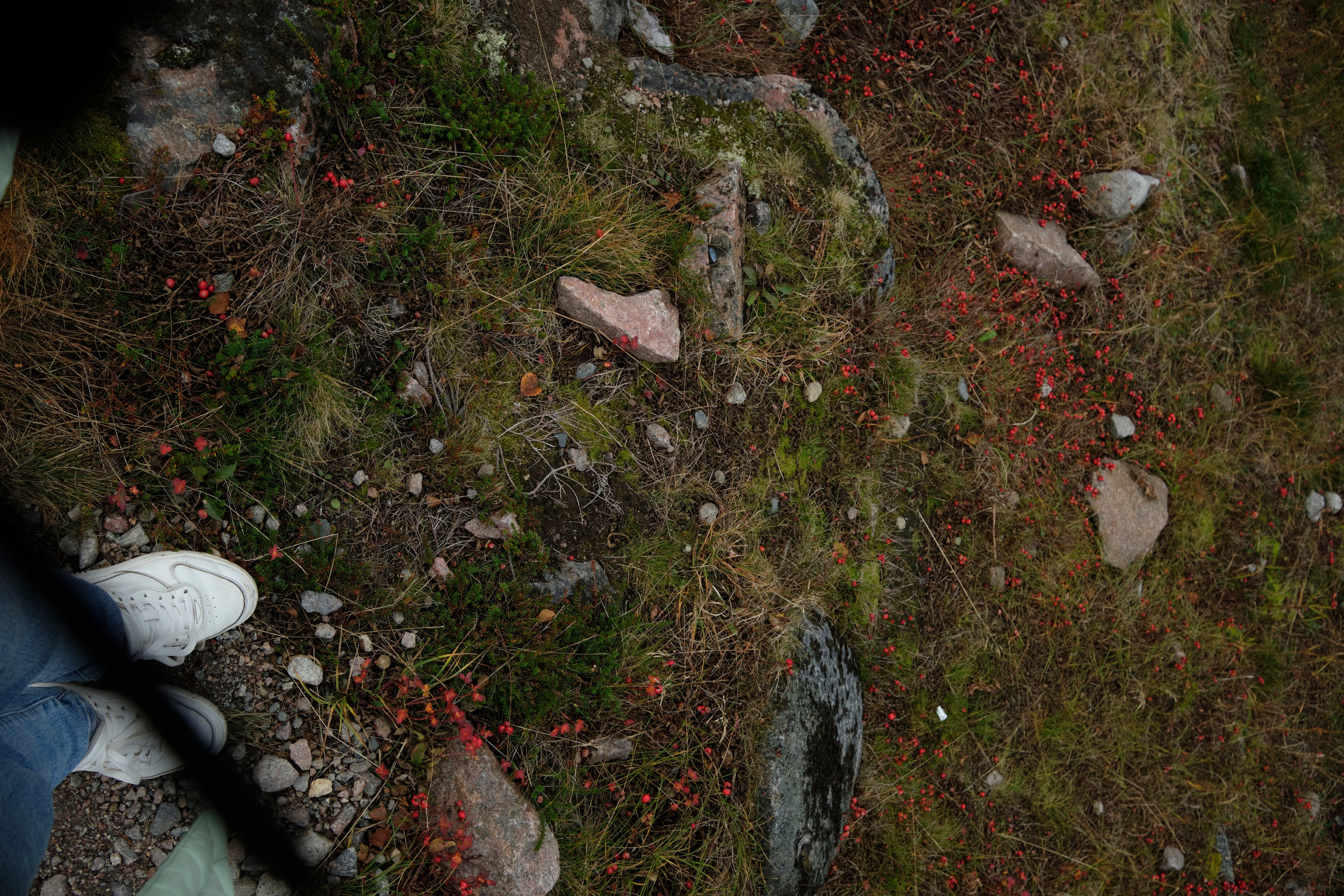 Путешествие в Териберку. Елена Павленко. Фотограф. Москва