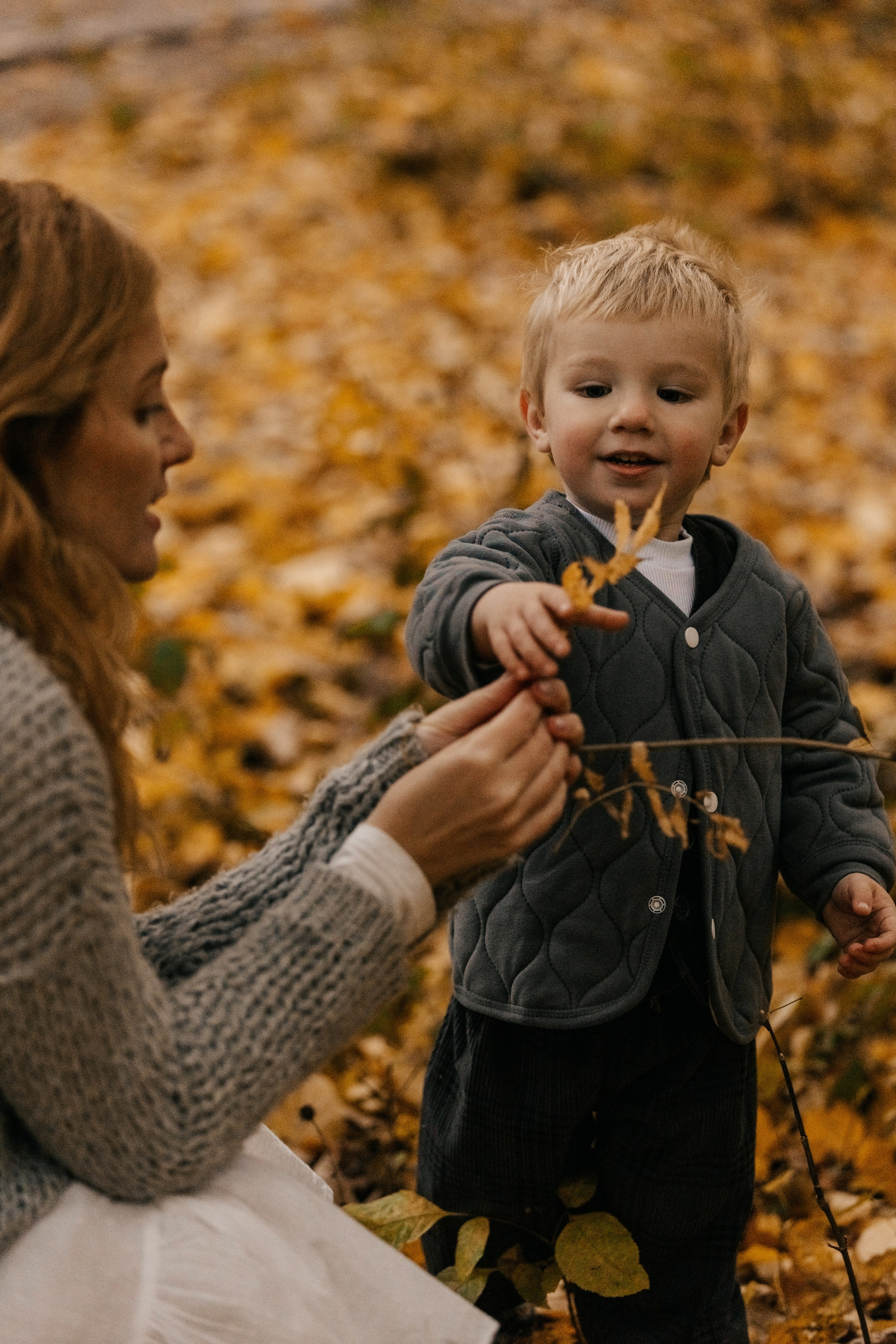 Лавруша. Фотограф Харитонова Наталья