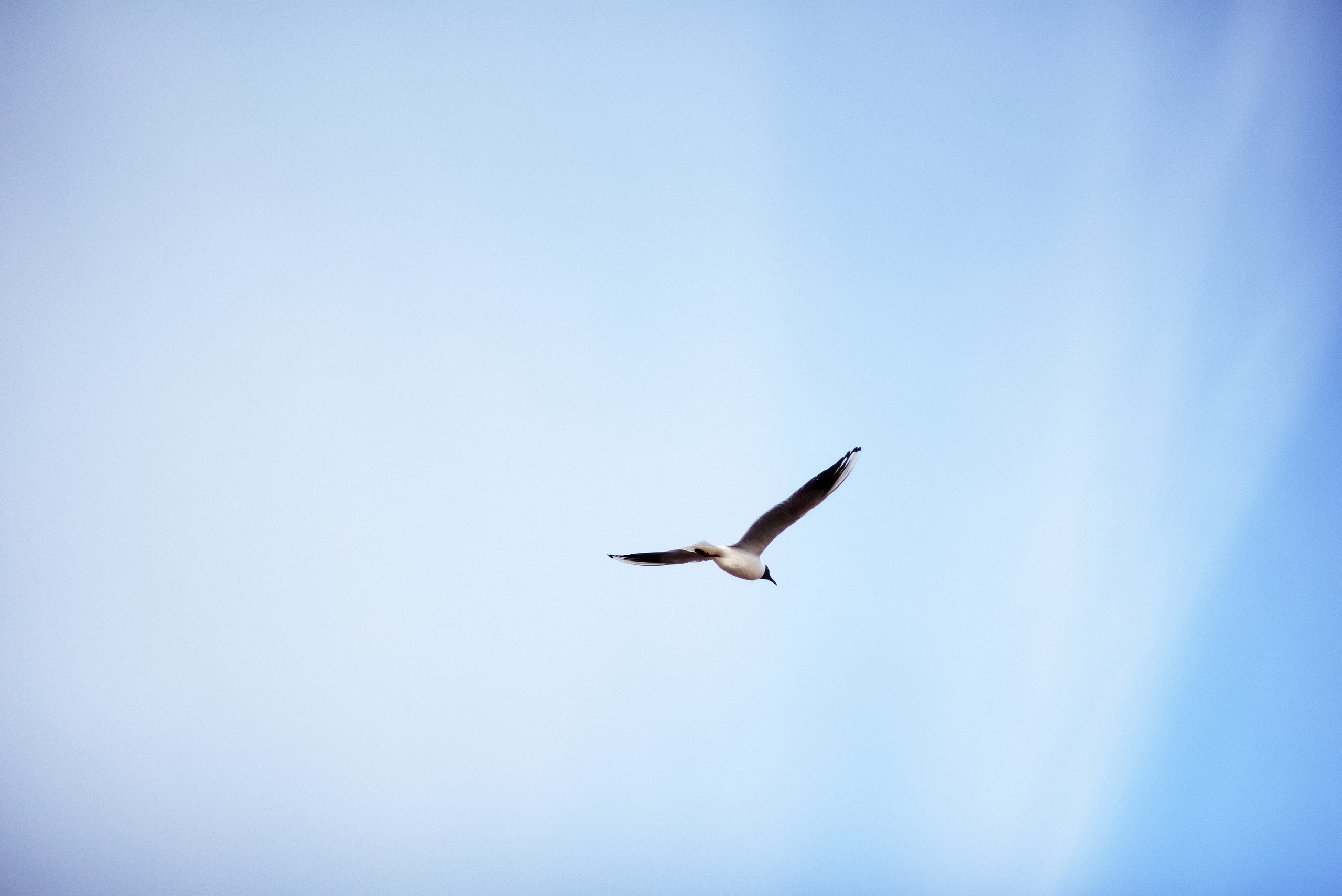 L19. Свадебный фотограф Санкт-Петербург DanyaPhotoart