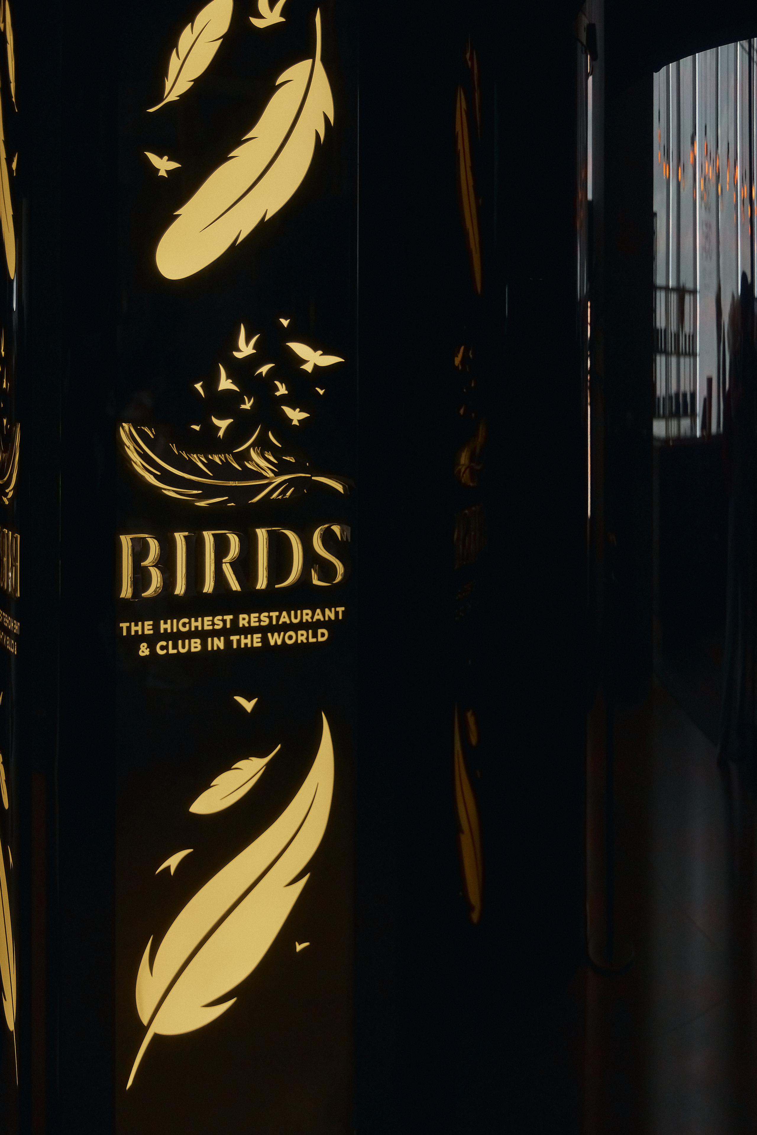 Екатерина и Алексей. BIRDS. Профессиональный фотограф, Москва | Елена Павлова