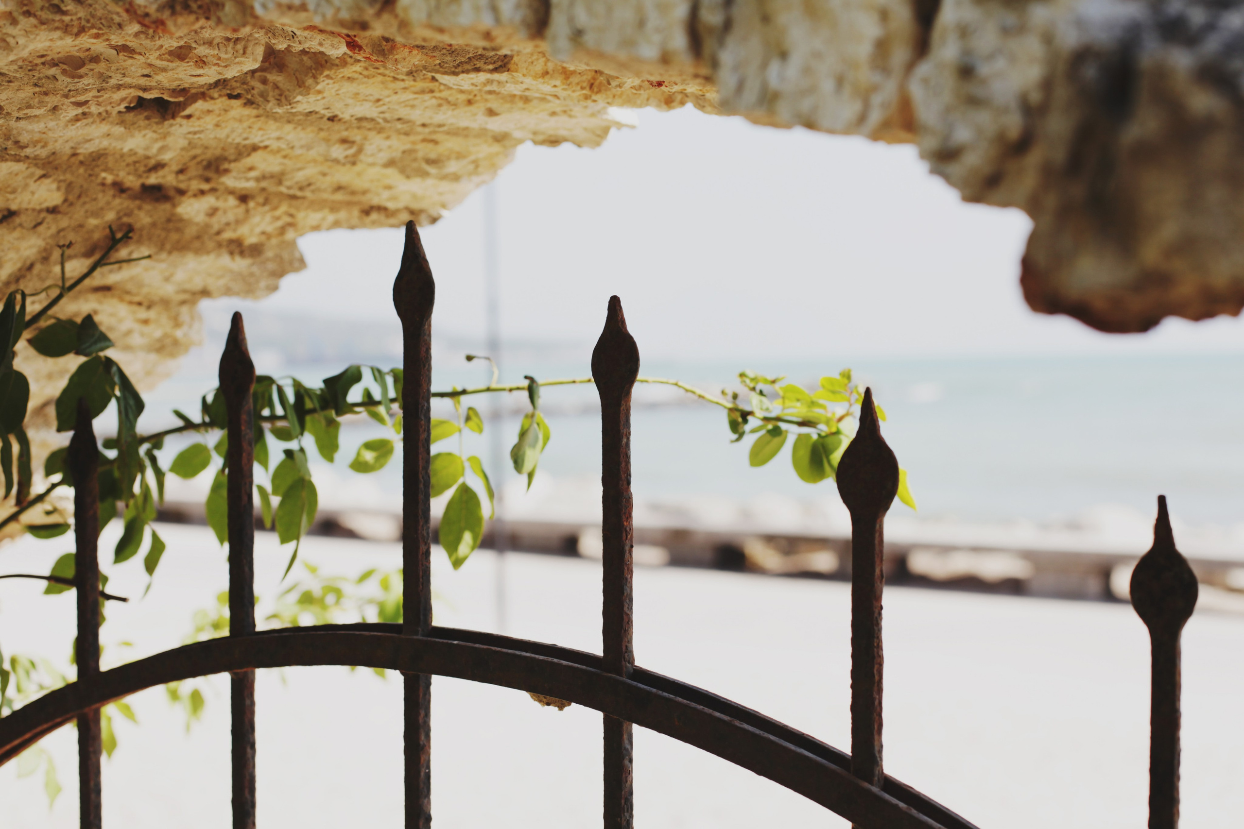 Болгария. Аня Степанова