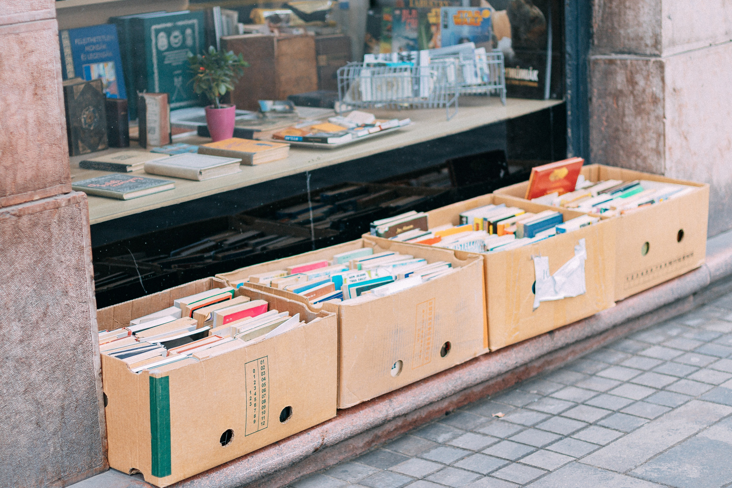 Будапешт. Аня Степанова