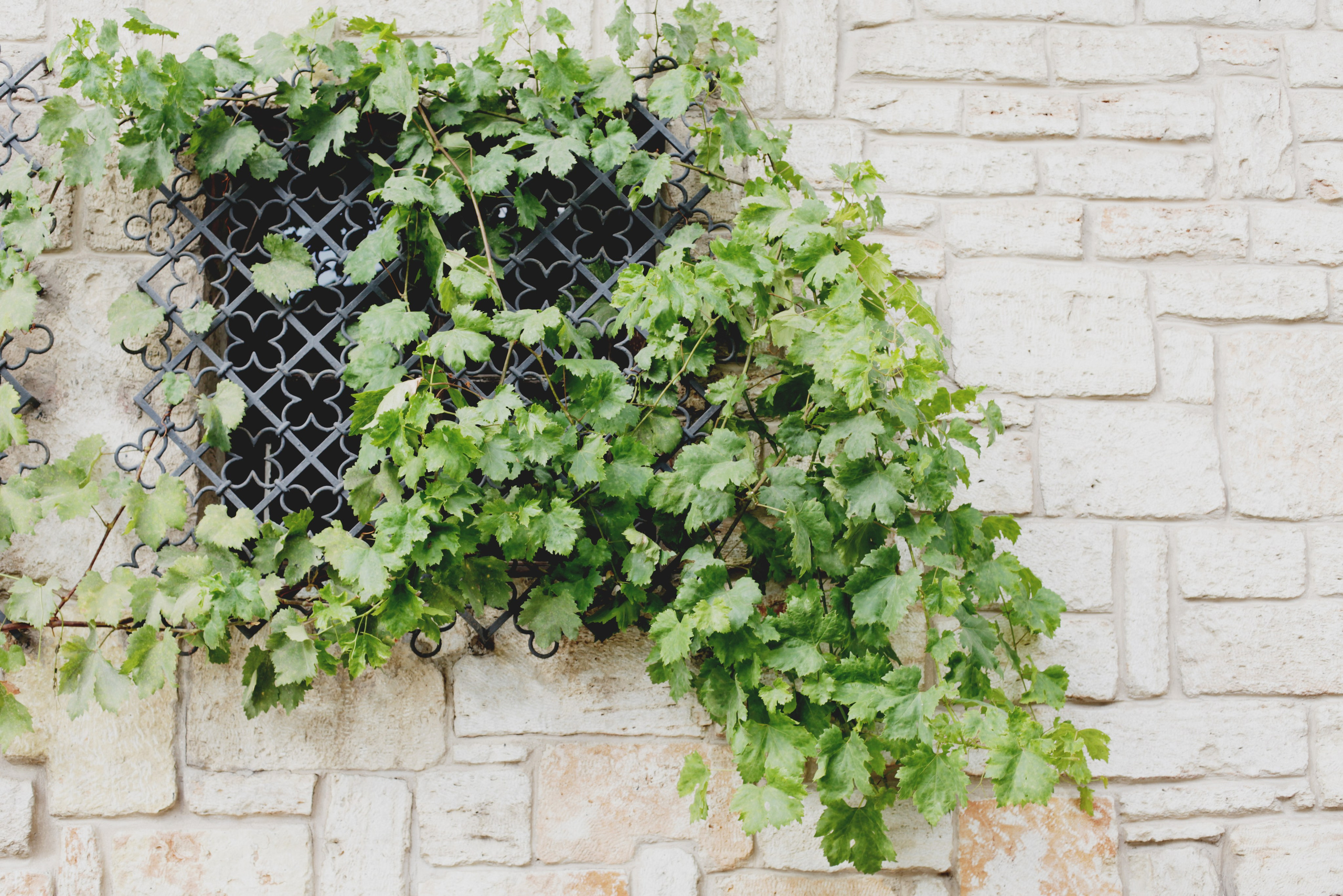 Болгария. Аня Степанова