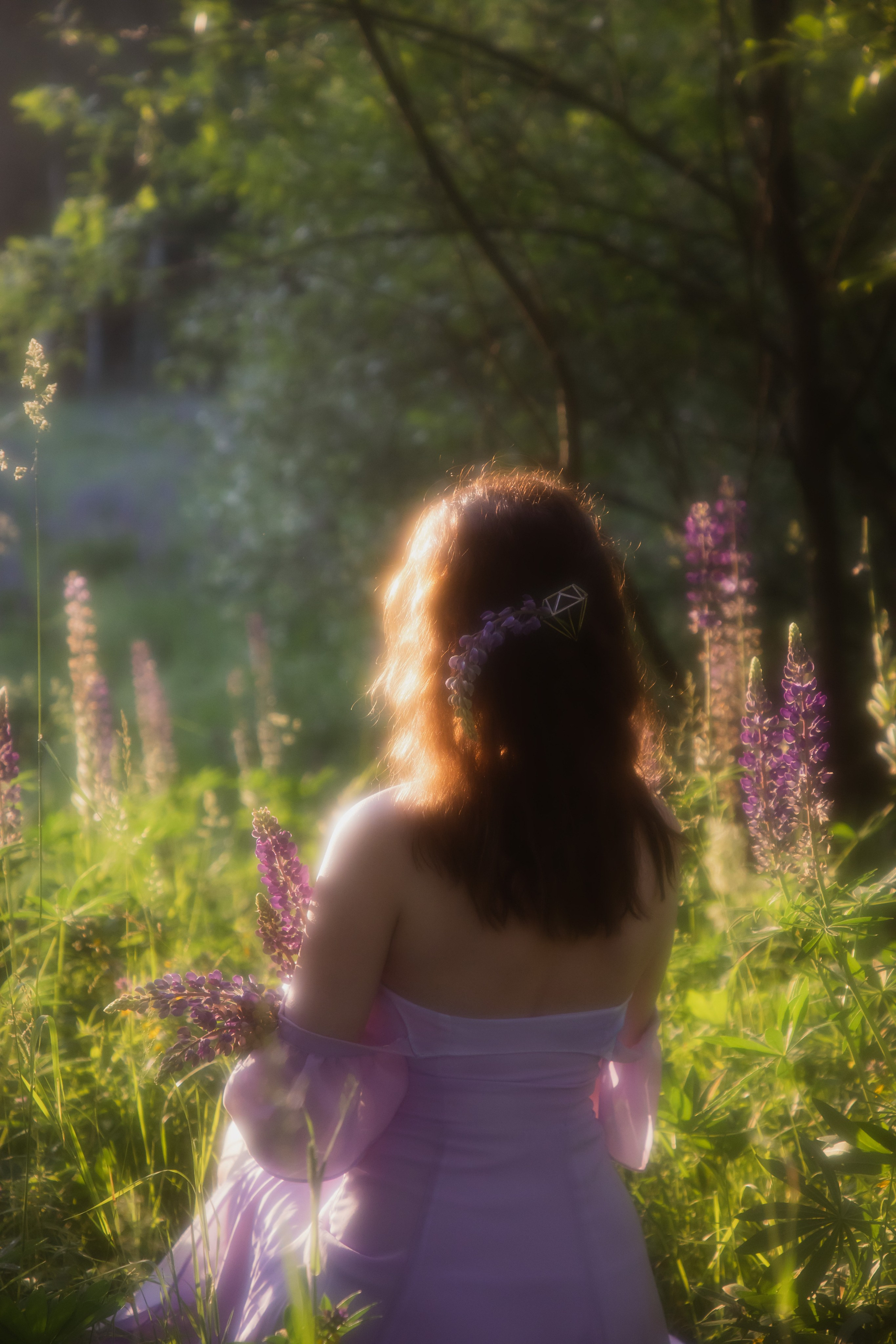 Люпиновое поле. Юлия Башкатова, сказочный фотограф, Москва