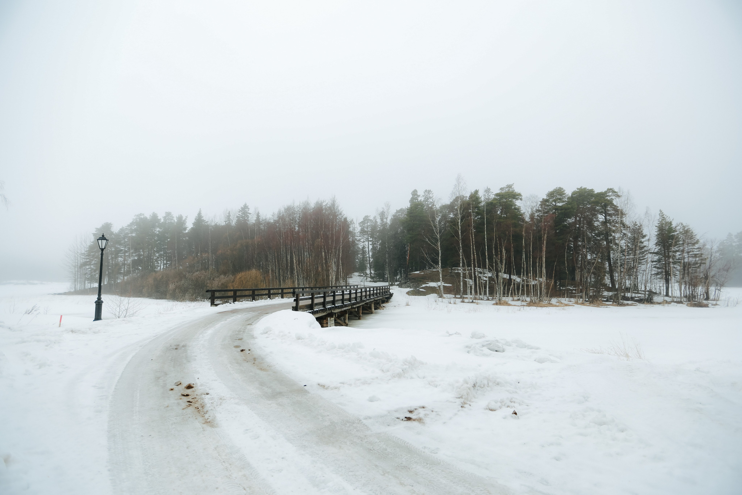 Природа. Трандин Иван Фотограф СПб