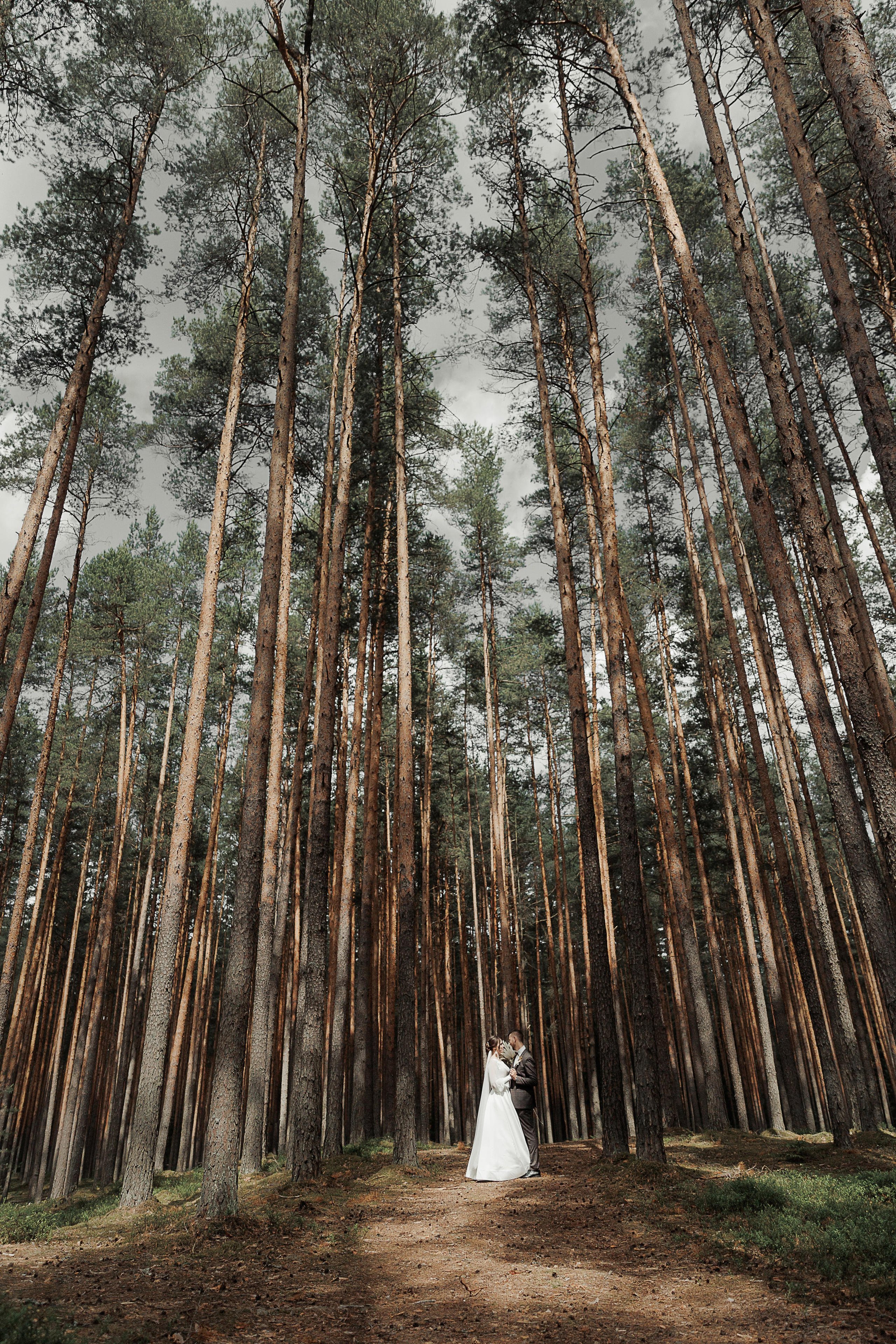 Денис и Валентина. Свадебный и семейный фотограф в Твери и Тверской области