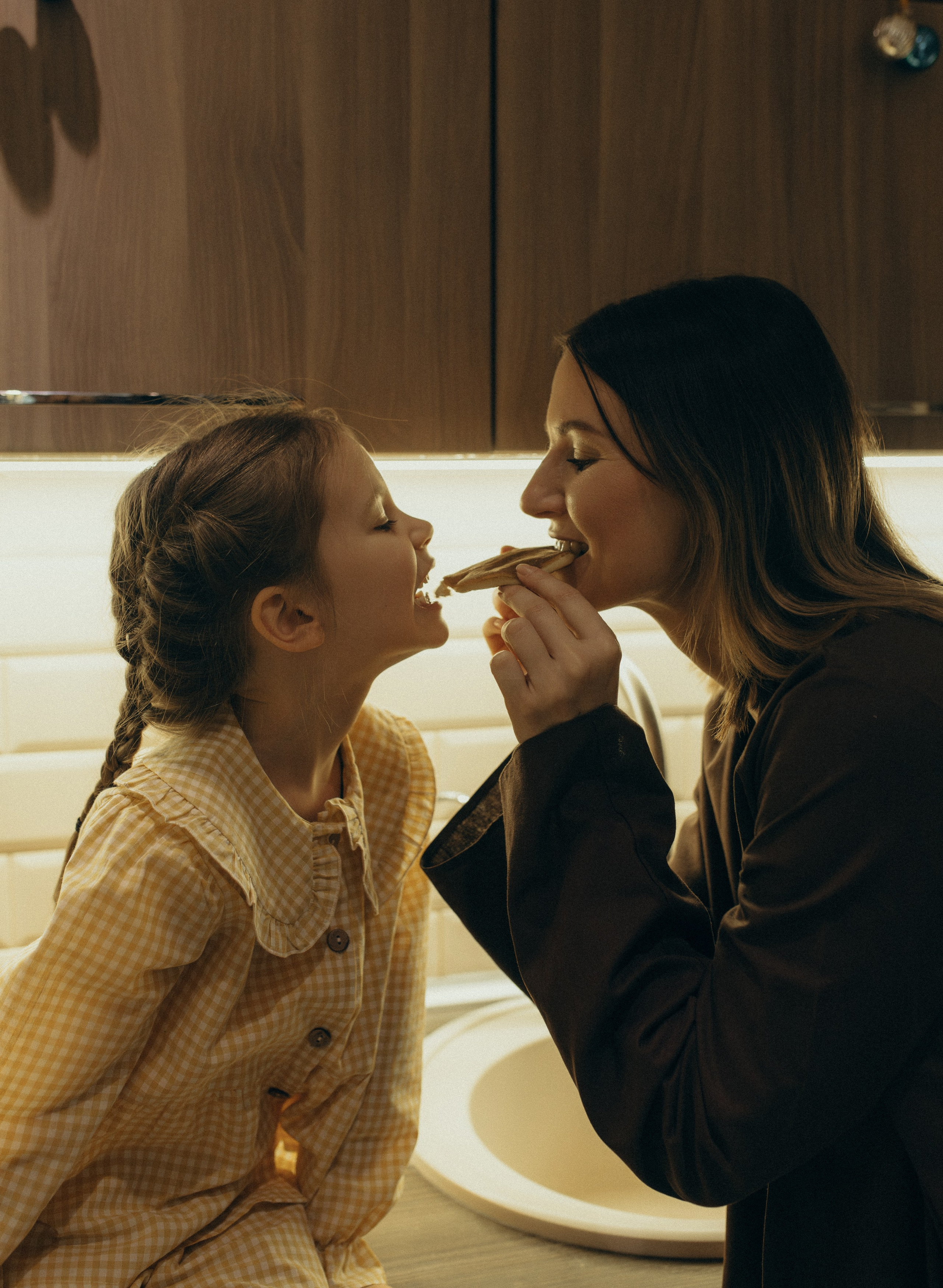 Домашняя история. Meryfotoidea