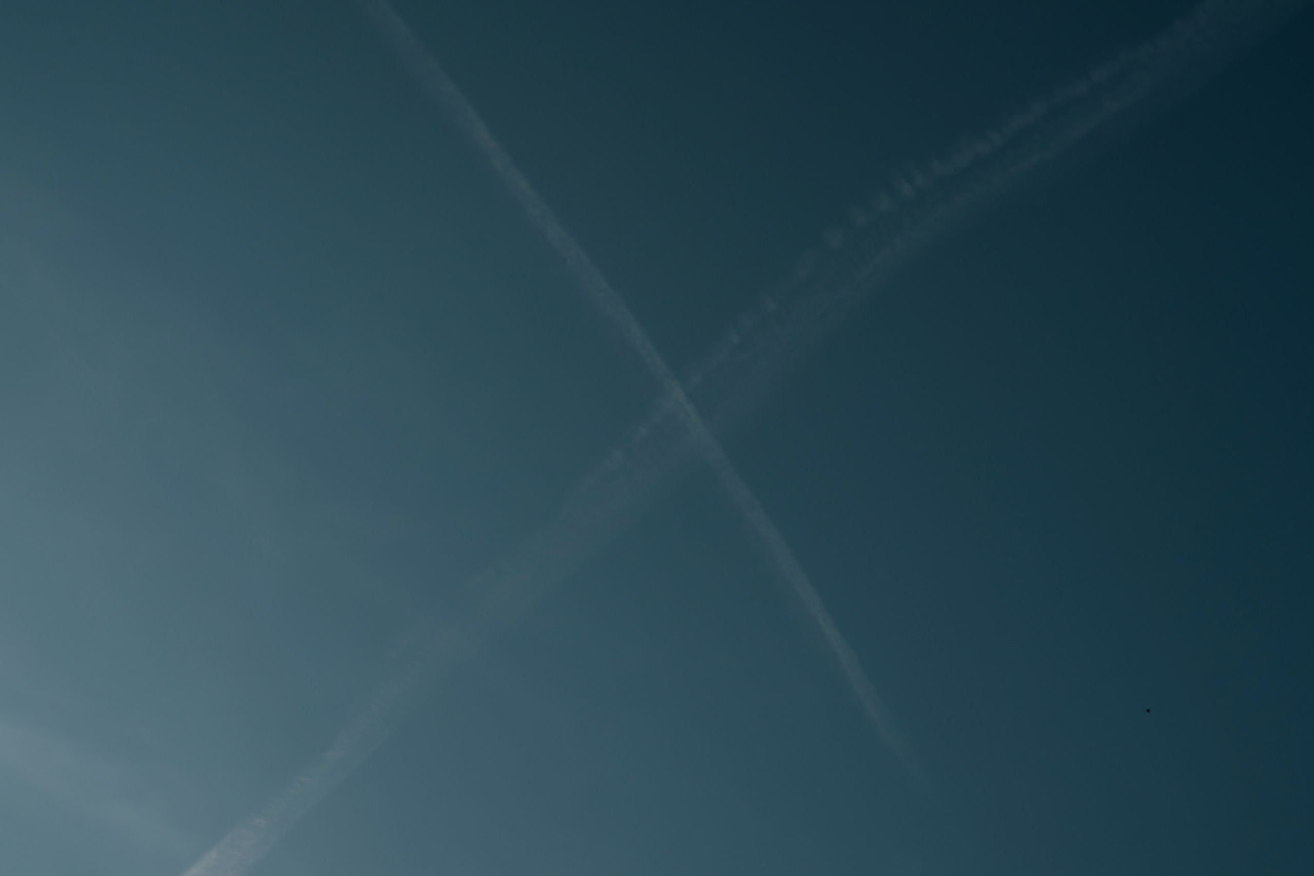 Разное. Фотограф в Москве Асиетта