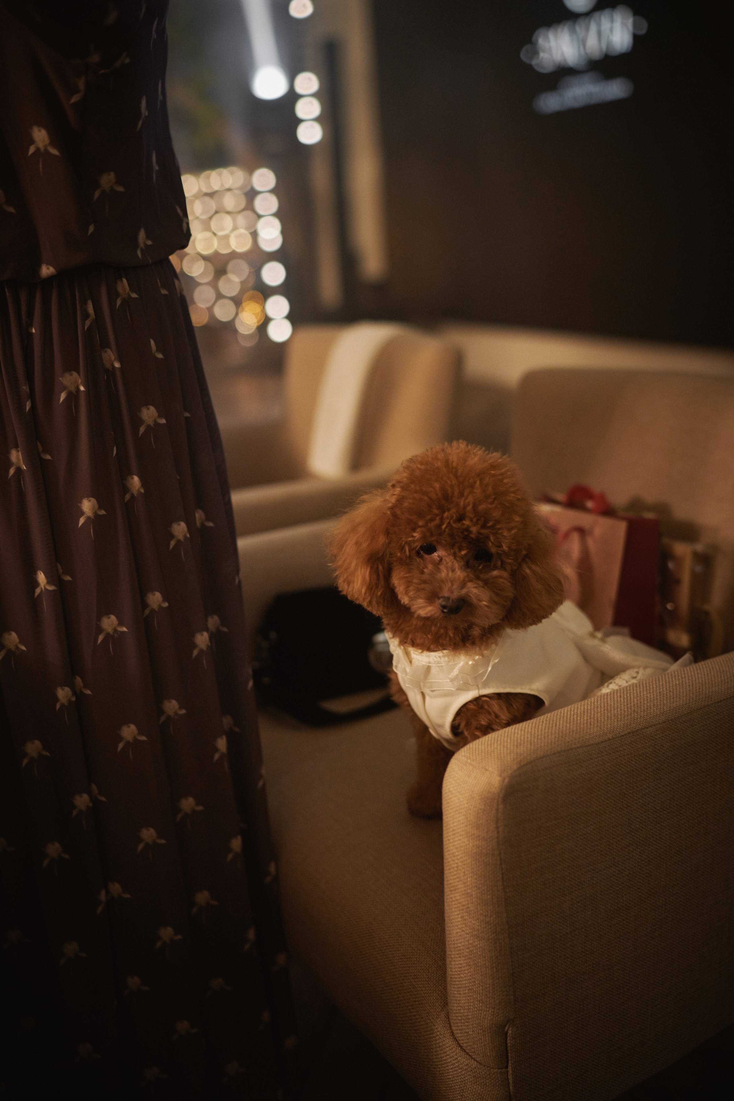 Аня и Дима. Фотограф в Санкт-Петербурге | Аня Маленчук