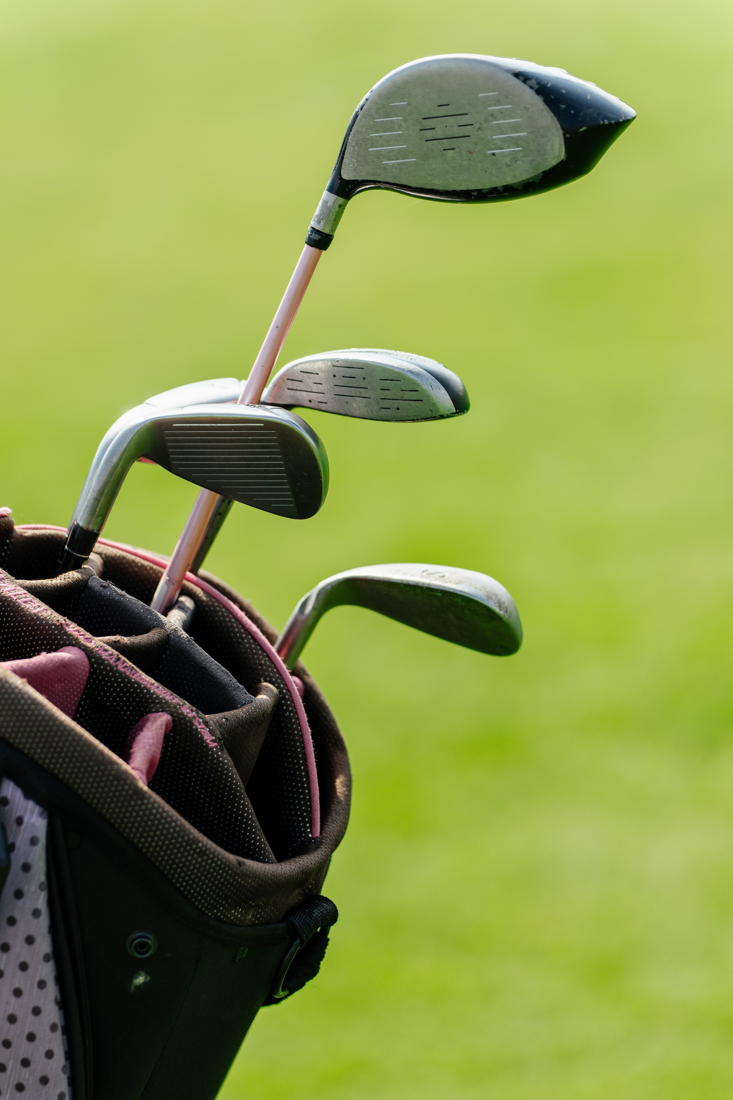 Skynet, Gorki golf club. Андрей Сухинин репортажный свадебный фотограф Санкт-Петербург