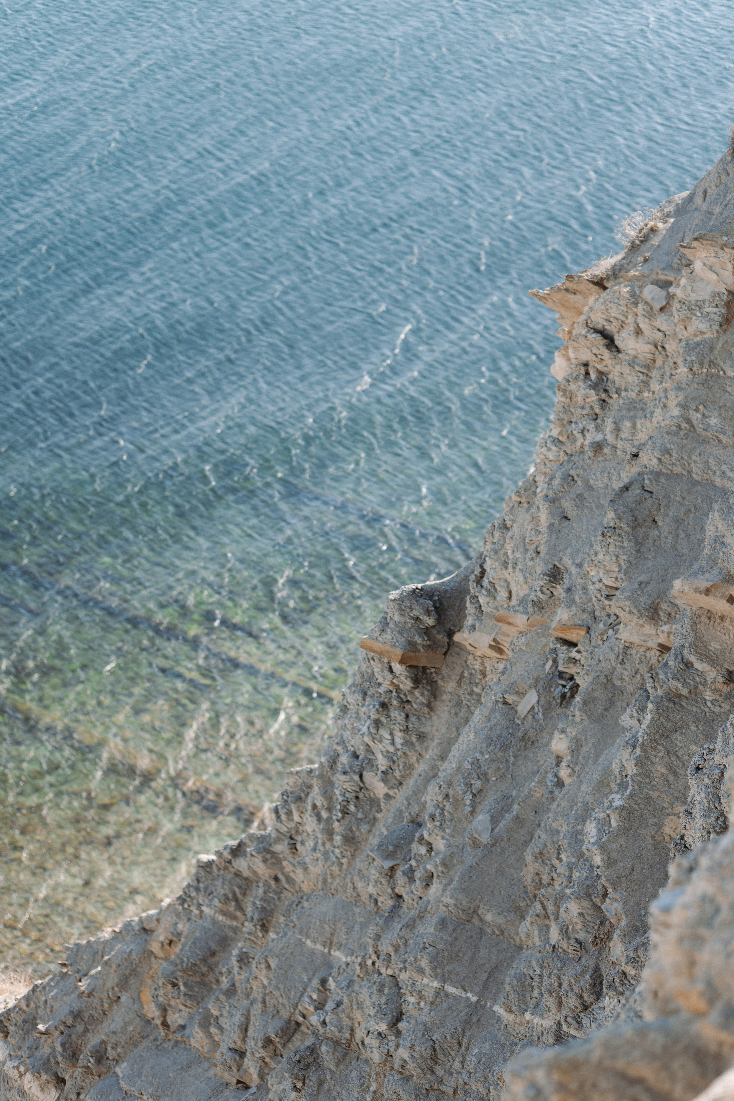 Macro. Фотограф на Юге России