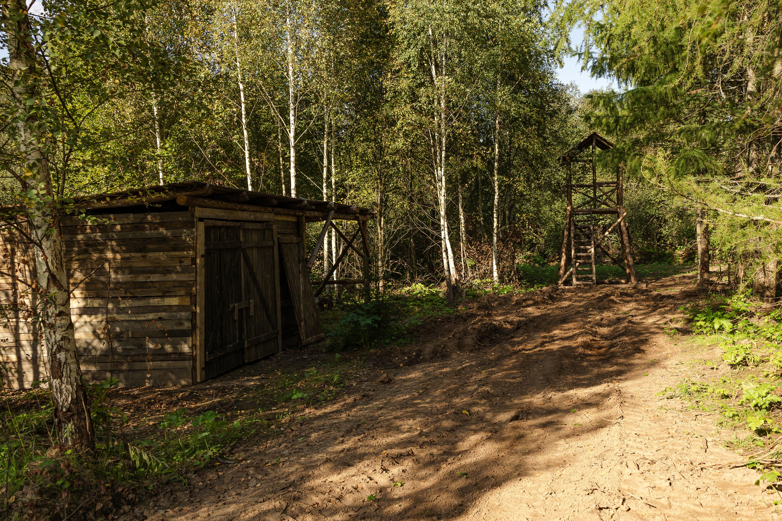 Кинопарк «Москино». Лисенкова Алиса — Фотограф, видеомейкер. Москва