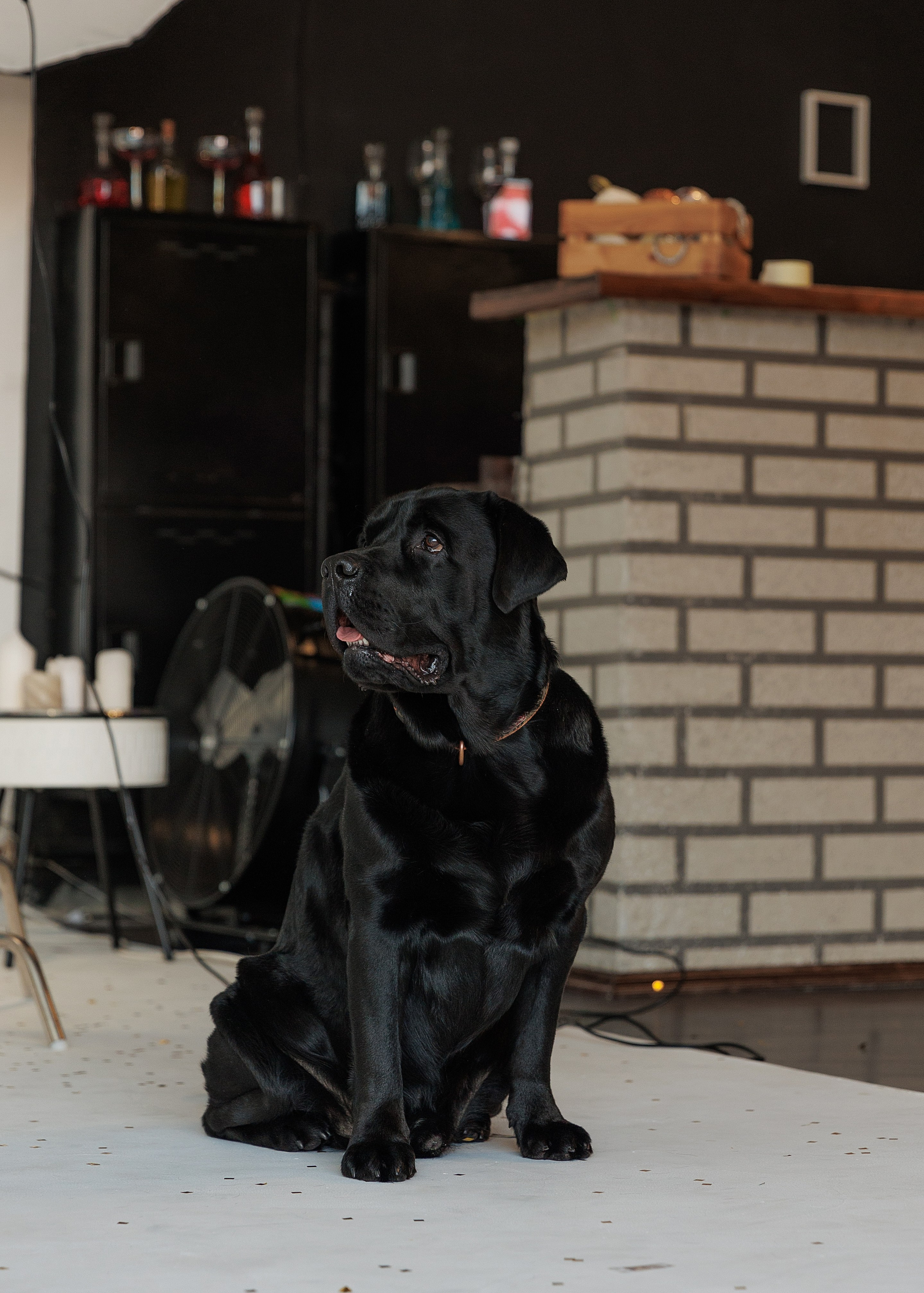 Светлана и Антей. Фотограф женского портрета, беременности и материнства Харькова Елена