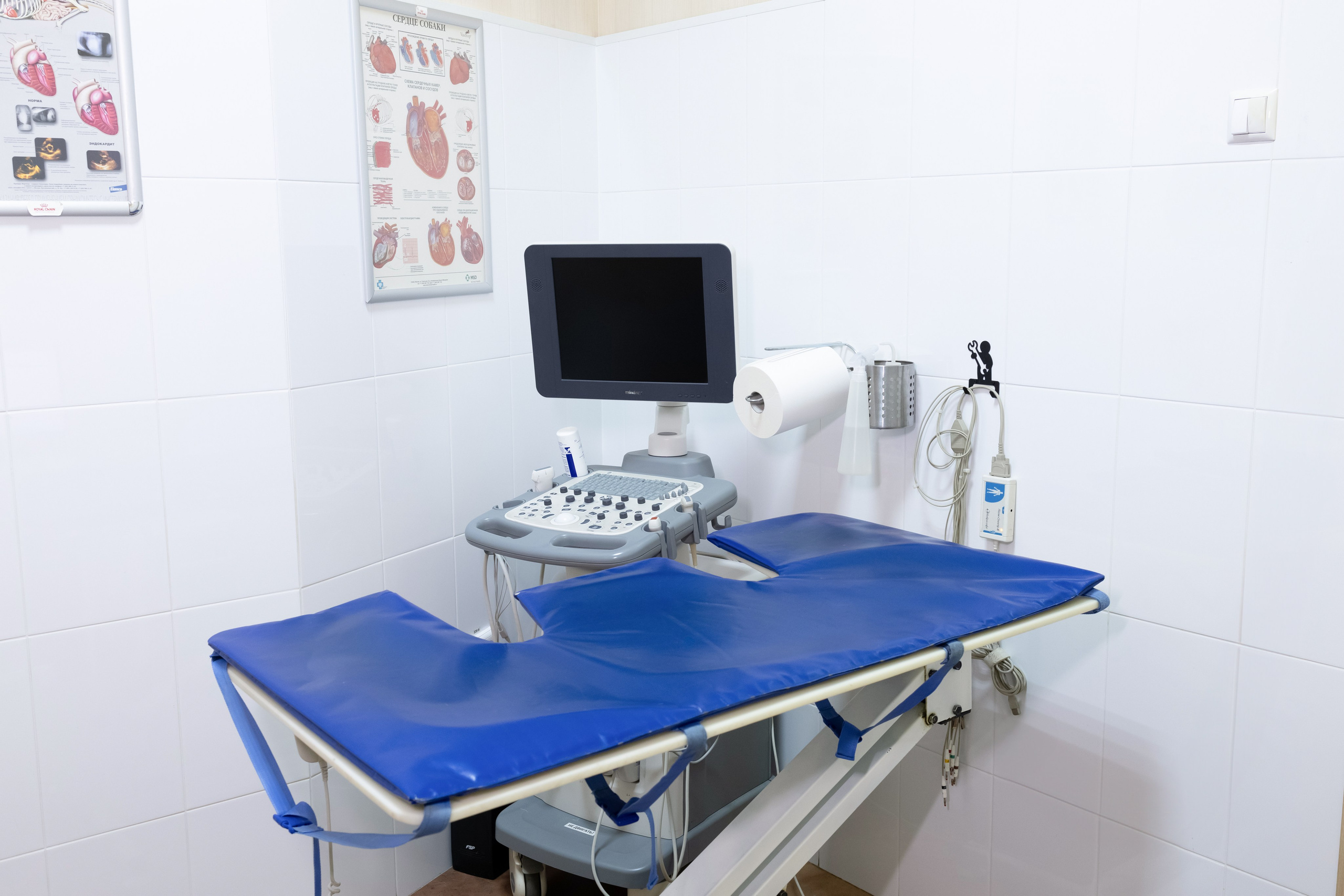 Ветеринарная клиника