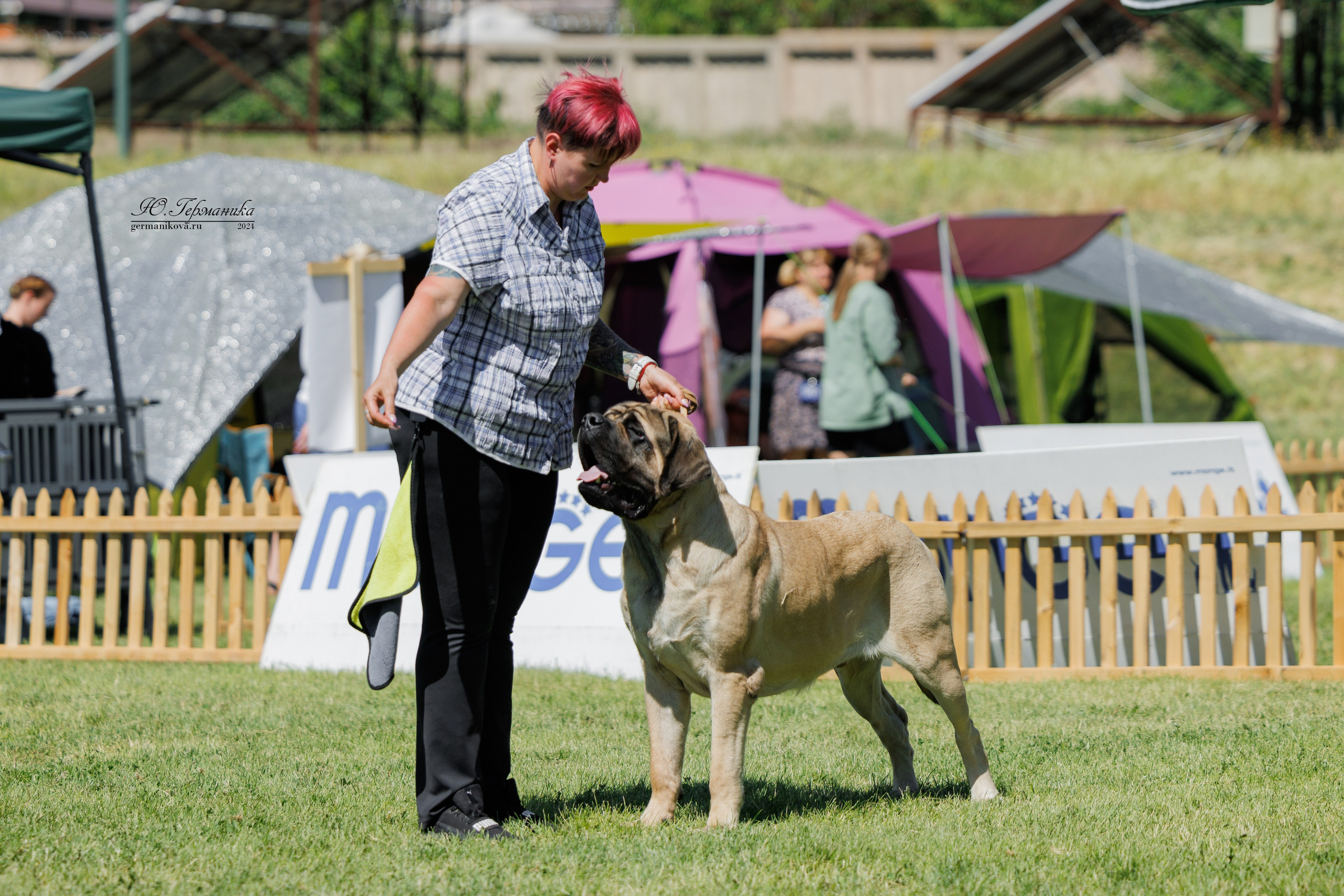 Ереван 3-5.06.2024. Фотограф-анималист Юлия Германика