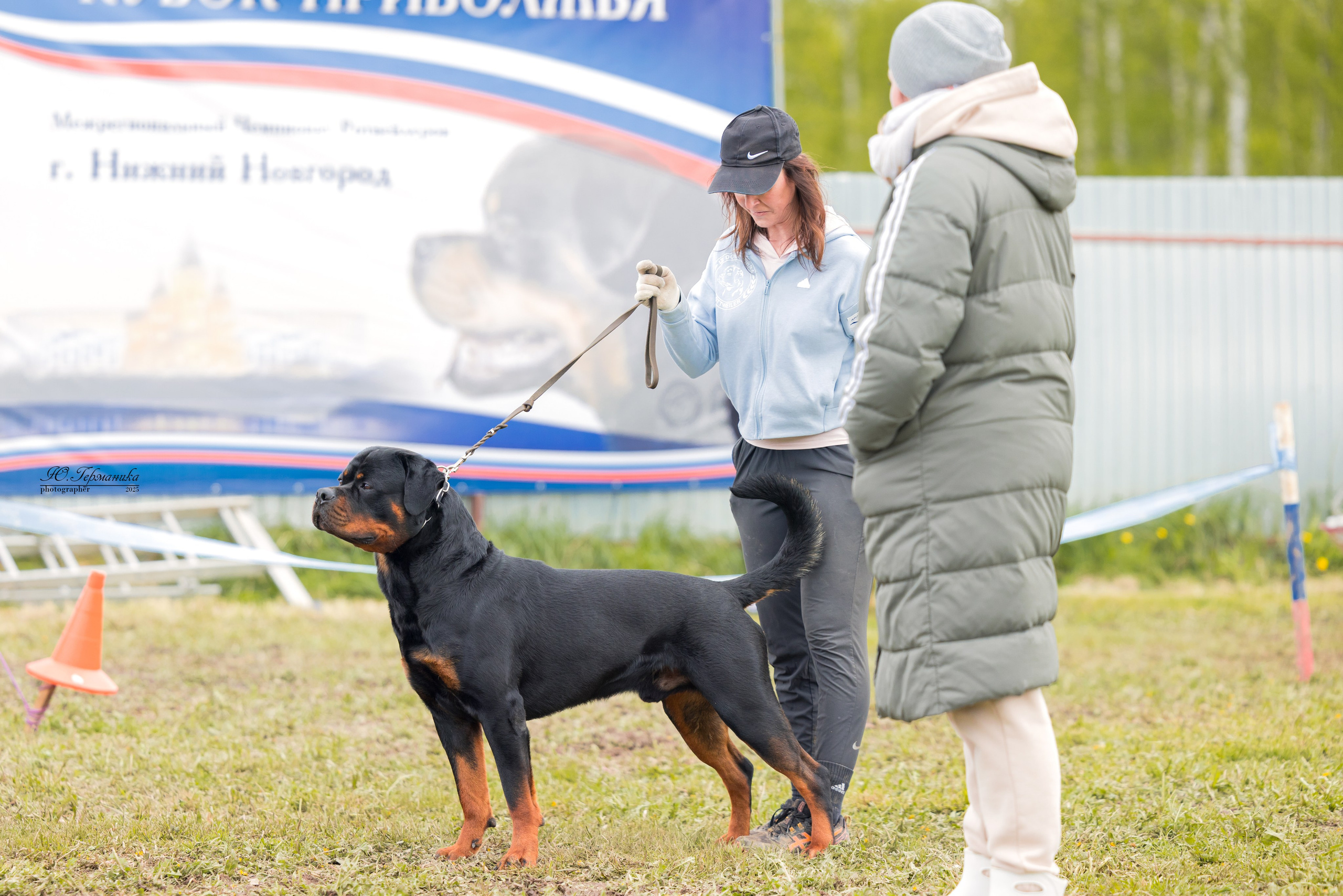 Нижний Новгород 2хмоно ротвейлеров 10-11.05.2025. Фотограф-анималист Юлия Германика