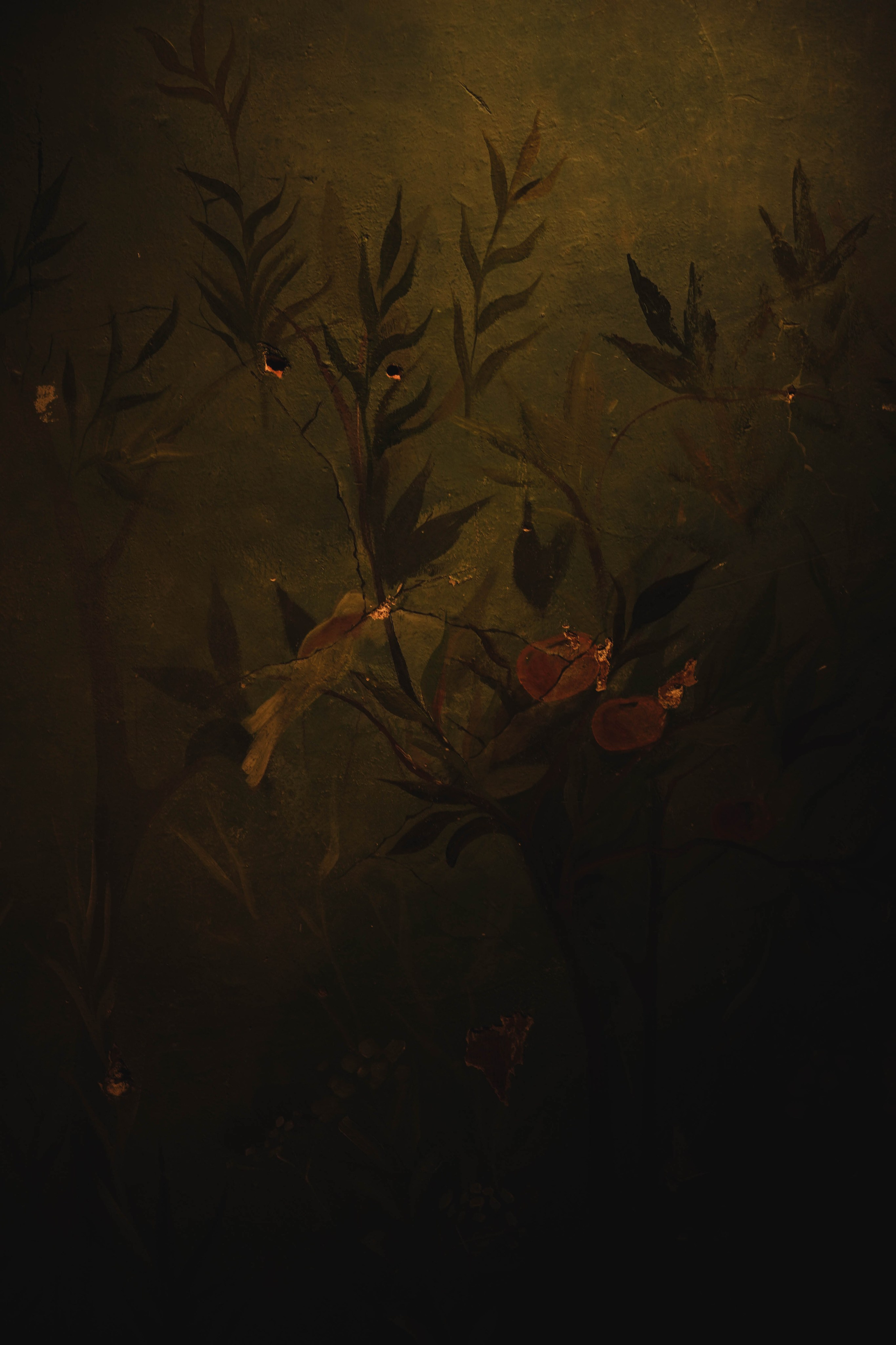 Сказочный сон. Семейный и свадебный фотограф