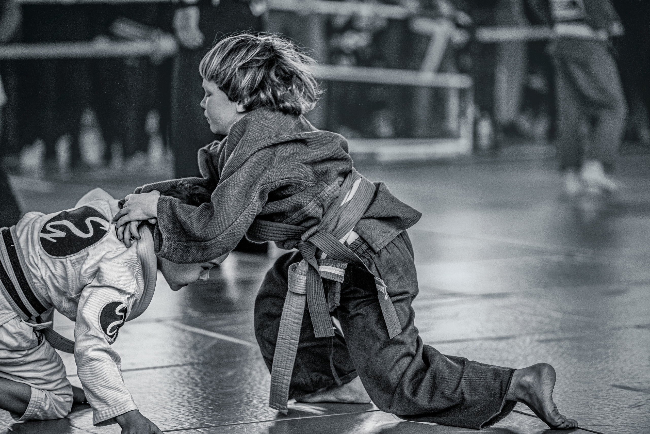 Бразильское джиуджитсу. Коммерческий фотограф в Москве Билуши Василиса