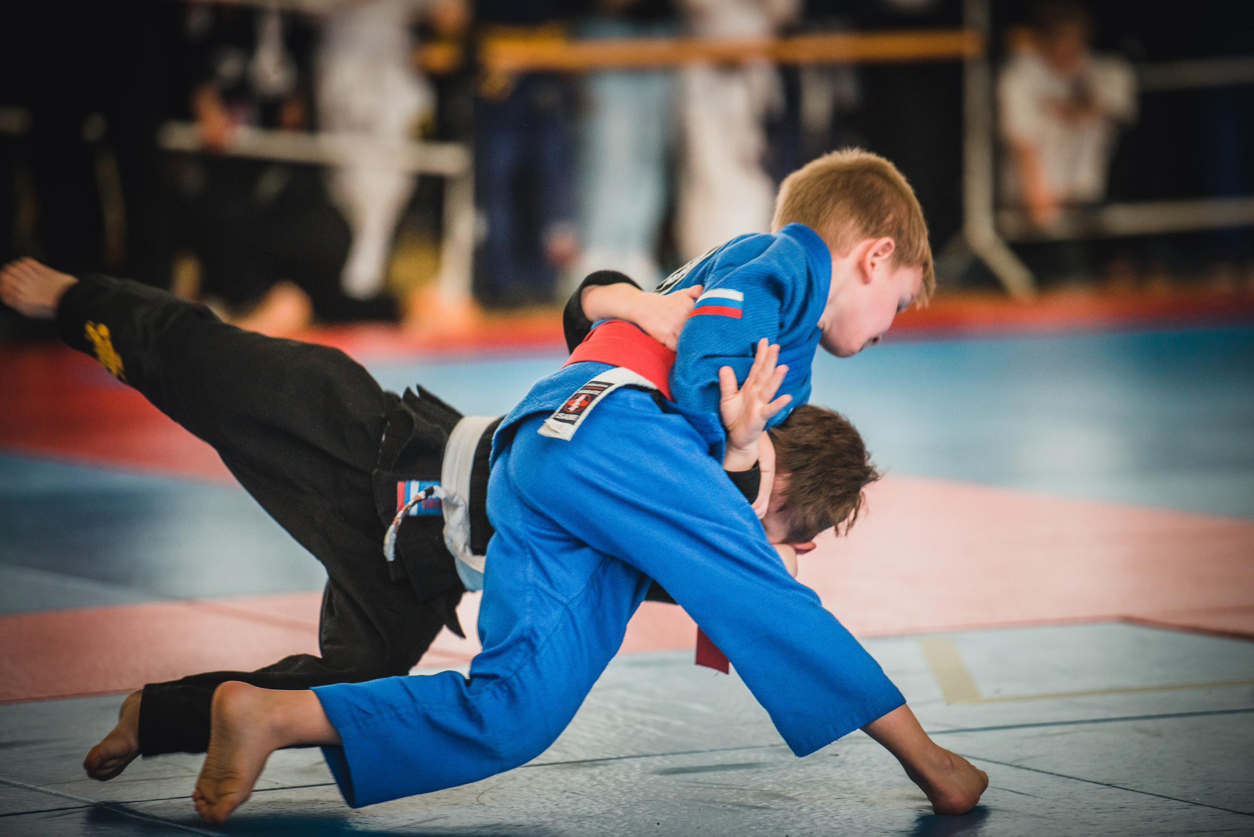Бразильское джиуджитсу. Коммерческий фотограф в Москве Билуши Василиса