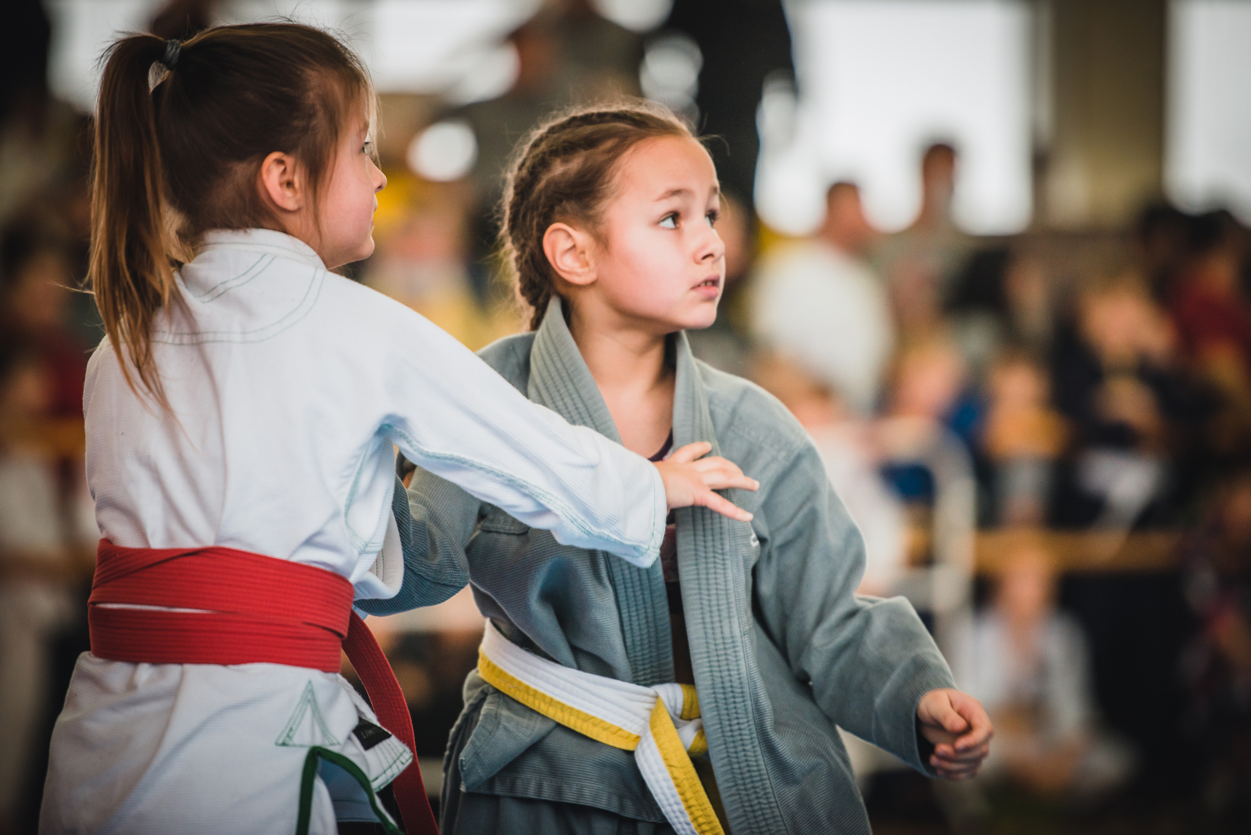 Бразильское джиуджитсу. Коммерческий фотограф в Москве Билуши Василиса