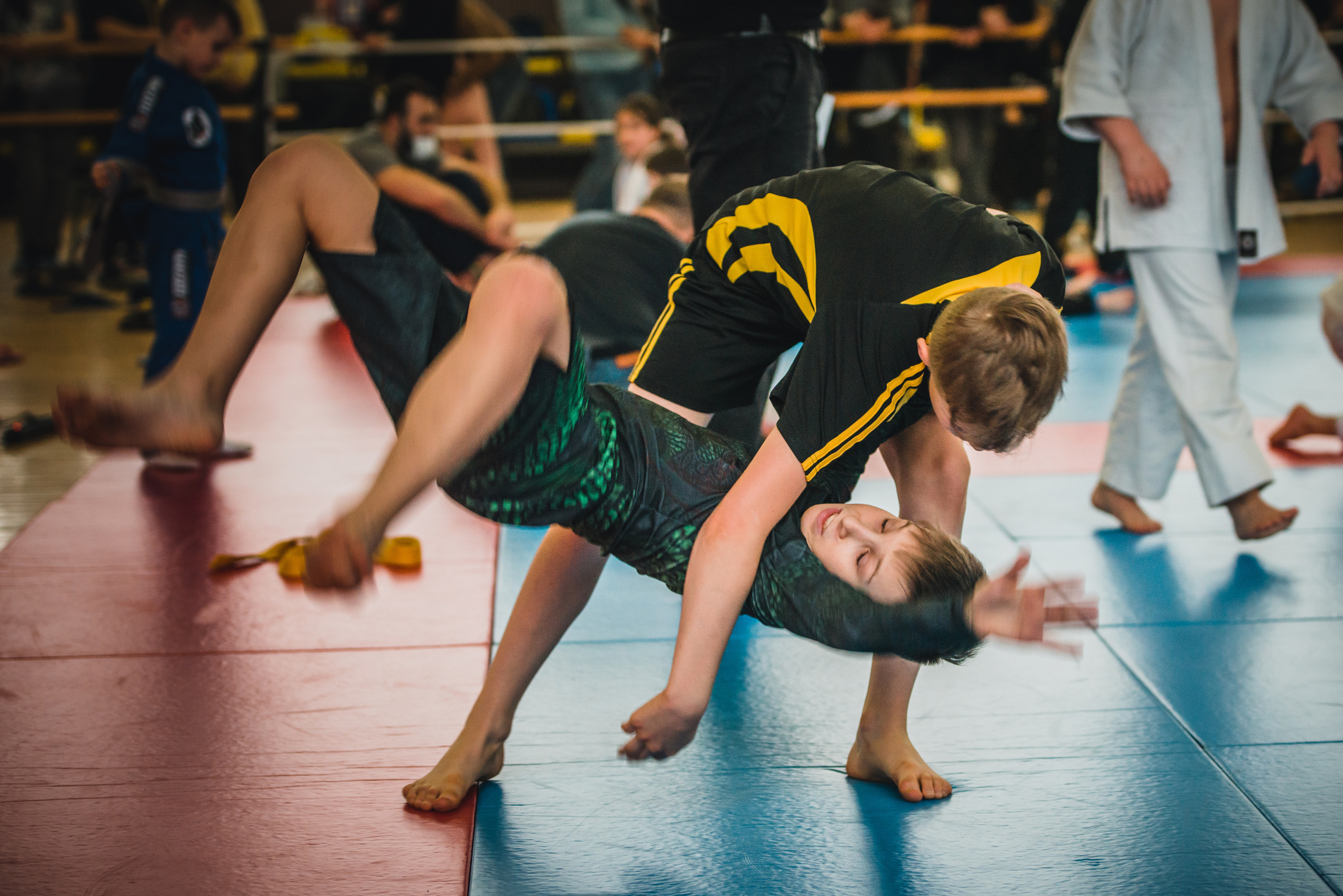 Бразильское джиуджитсу. Коммерческий фотограф в Москве Билуши Василиса