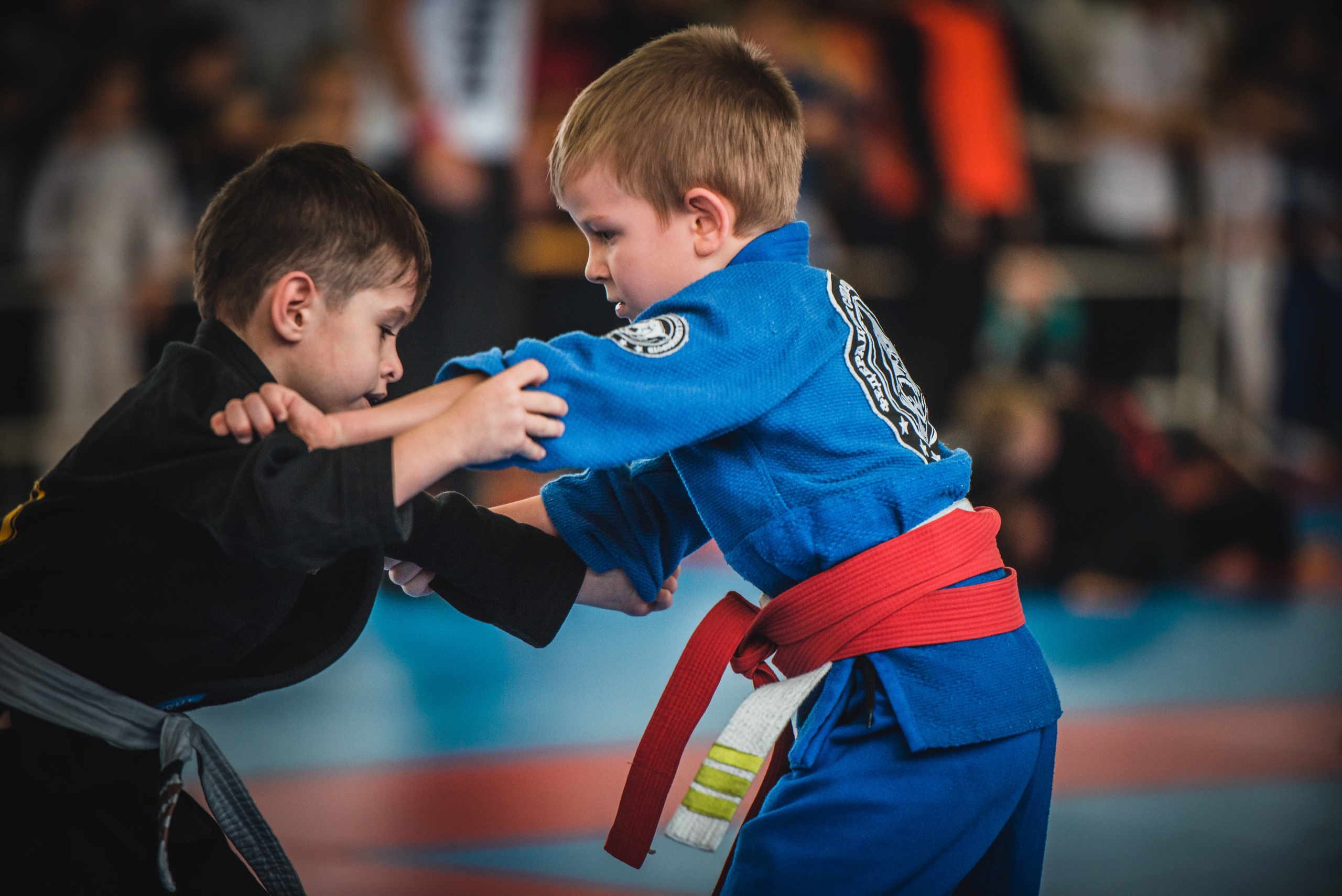 Бразильское джиуджитсу. Коммерческий фотограф в Москве Билуши Василиса