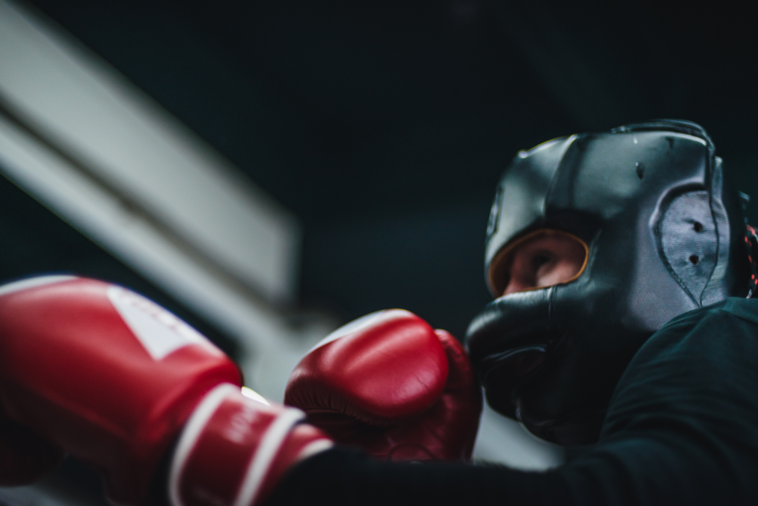 Тренерская работа. Коммерческий фотограф в Москве Билуши Василиса