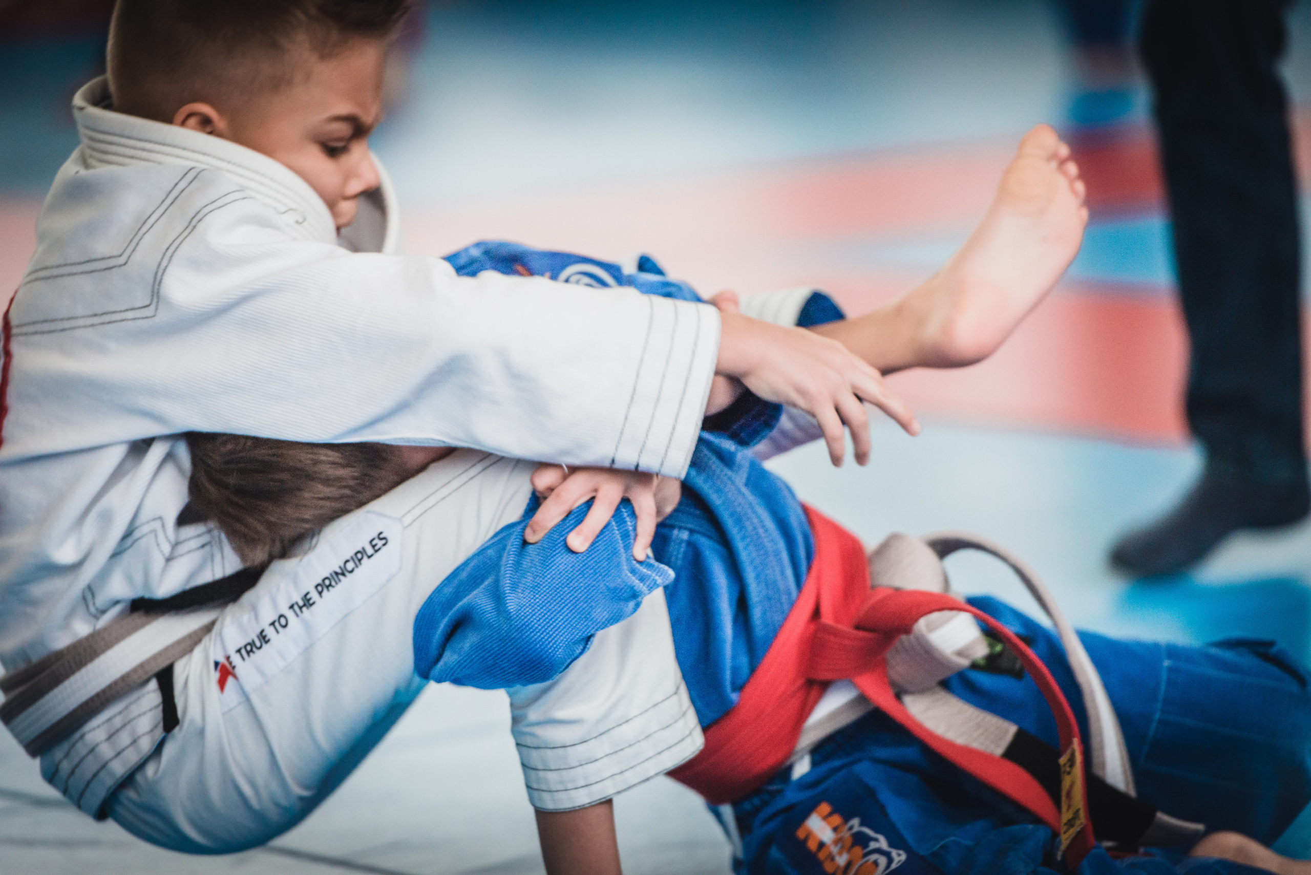 Бразильское джиуджитсу. Коммерческий фотограф в Москве Билуши Василиса
