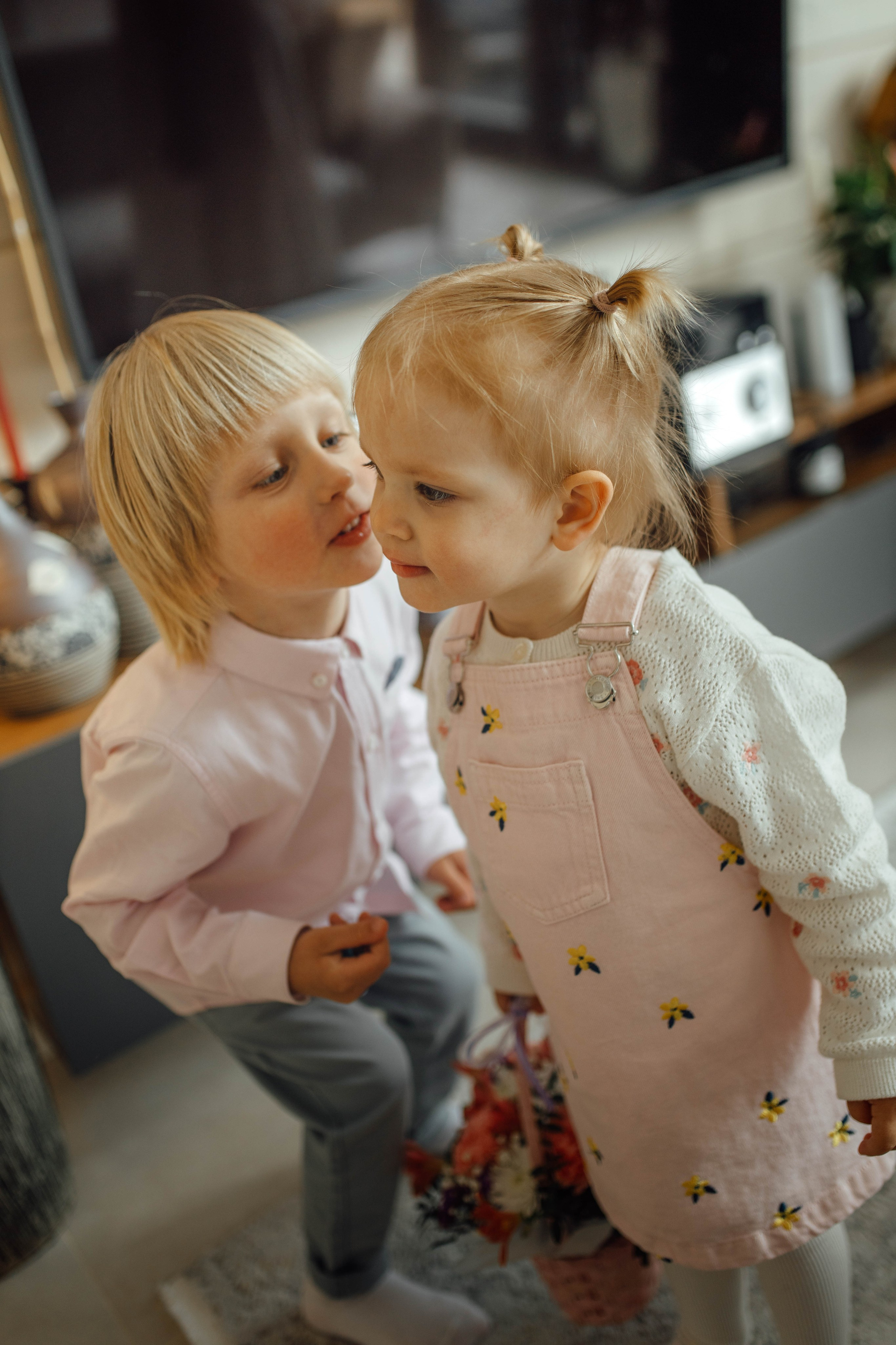 Репортаж дома, др