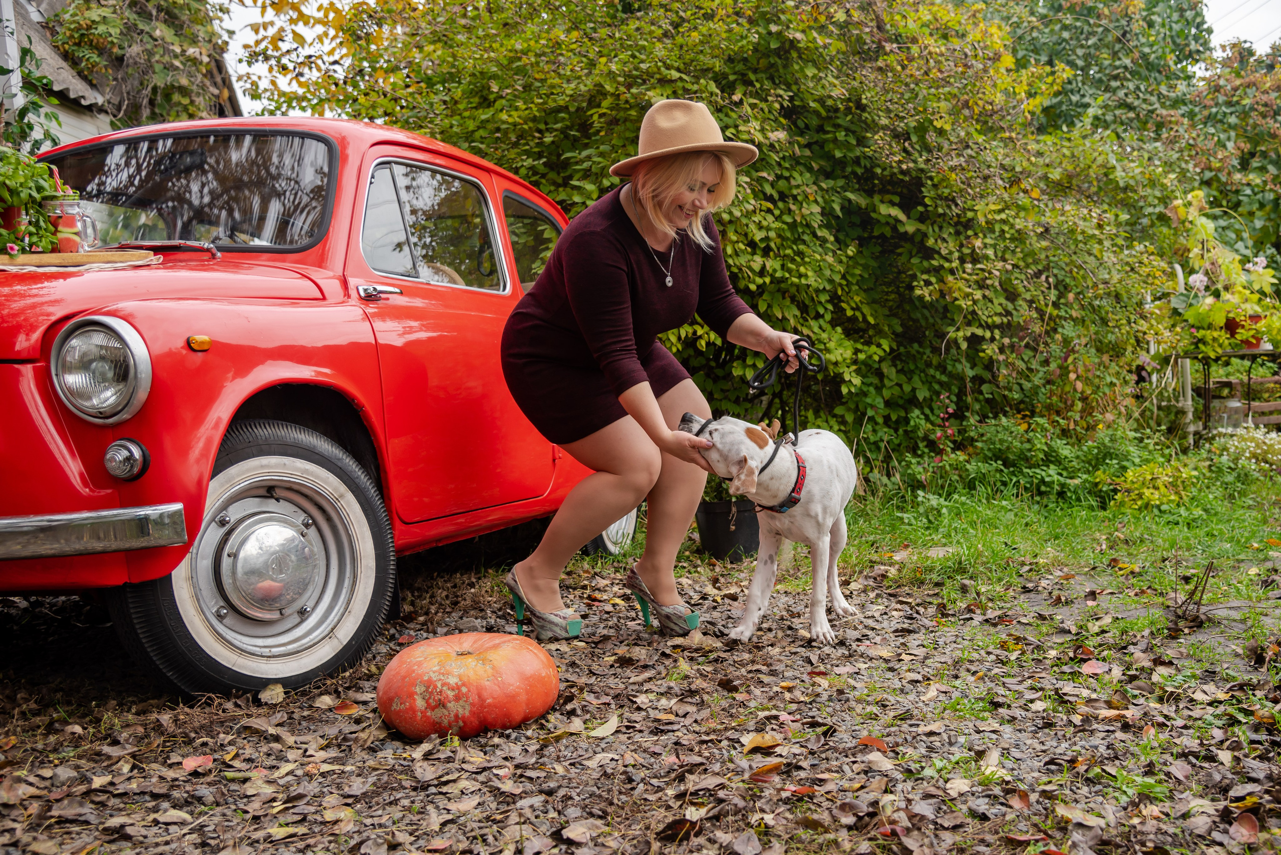 Авакадо. Фотограф Галина Нестерова