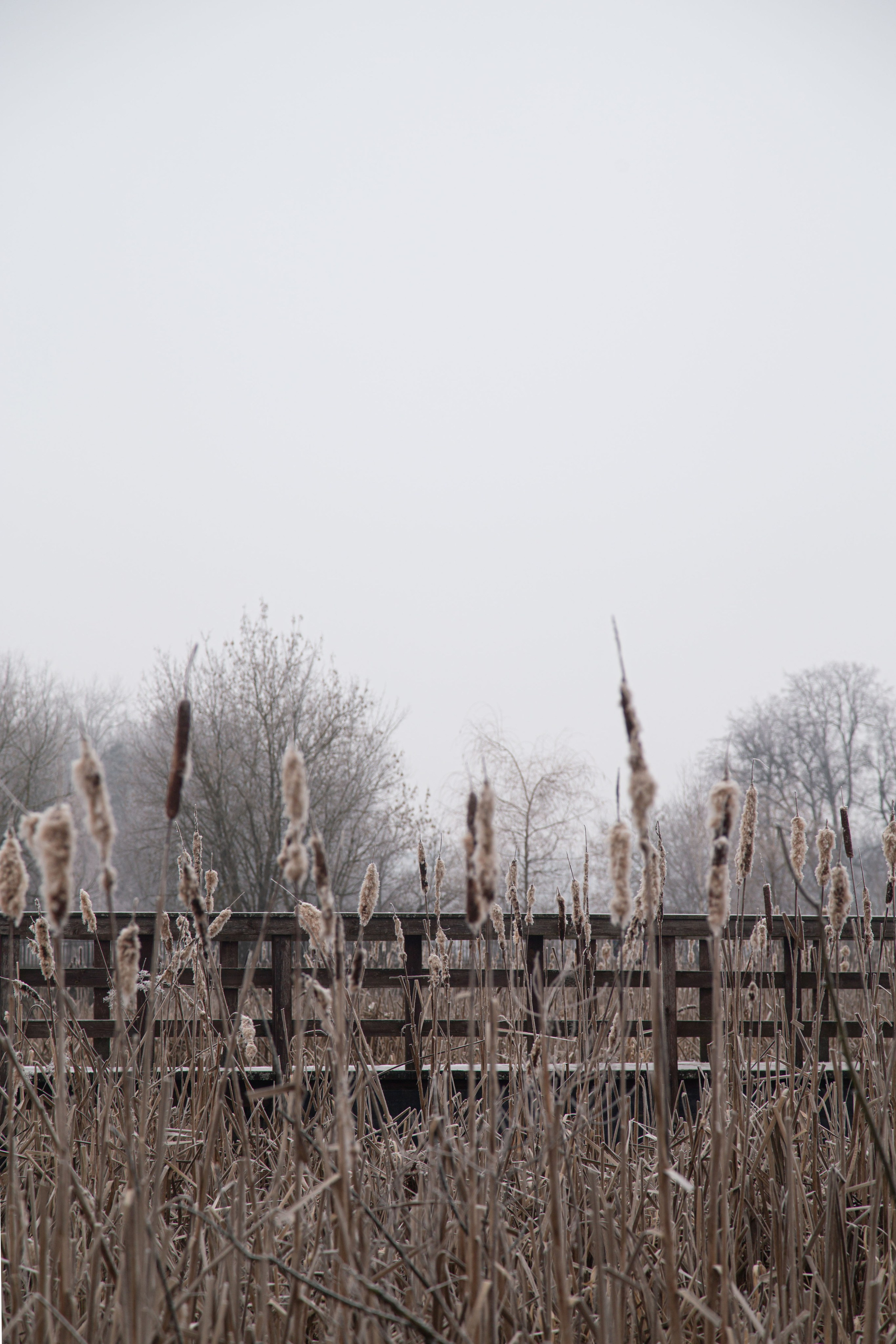 Воздух февраля. Dmitriy [KCCC] is a pretty cool photographer