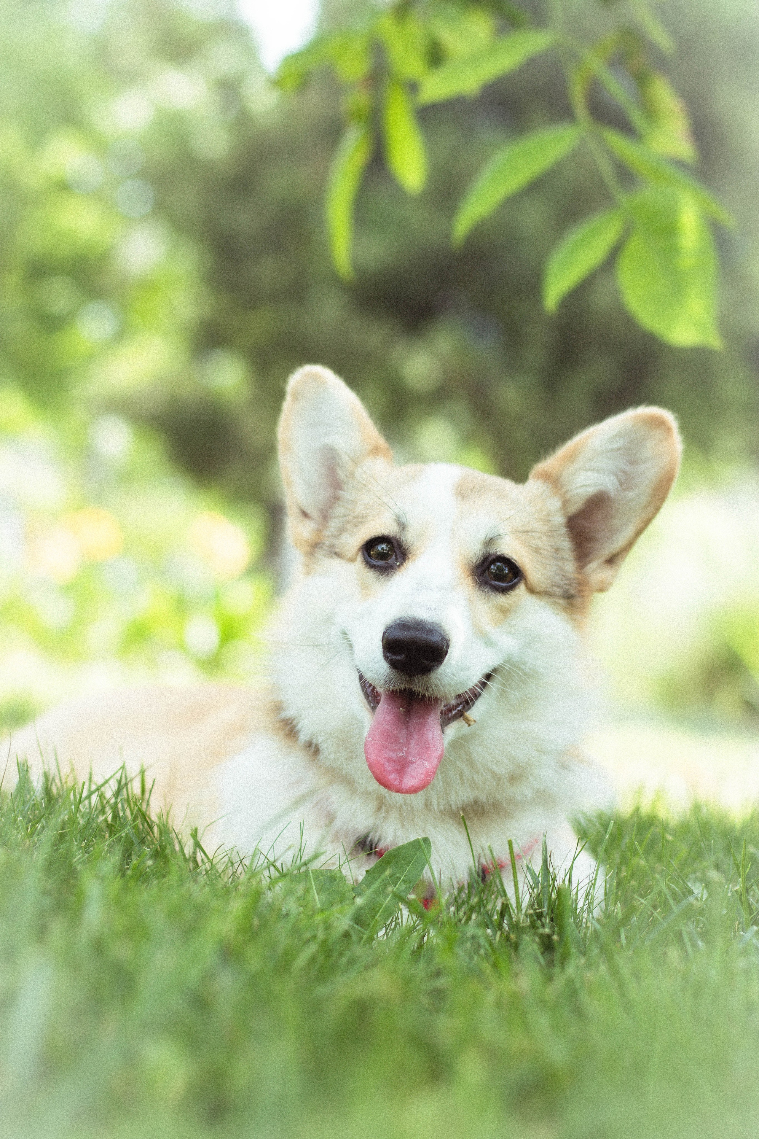 Таня и Джесси. Фотограф из Краснодара