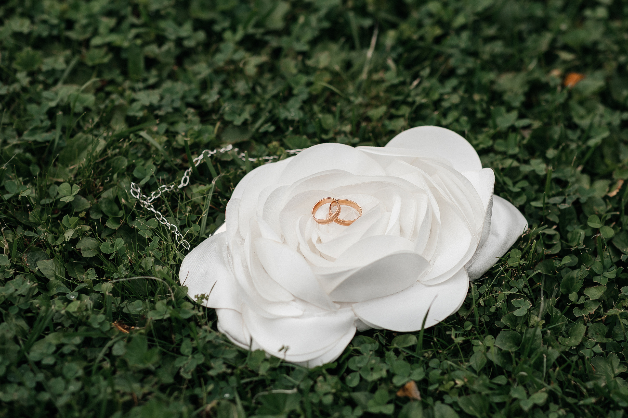 Свадебная фотосессия в усадьбе Остафьево — Русский Парнас. Свадебный фотограф в Москве Дарья Олендарёва