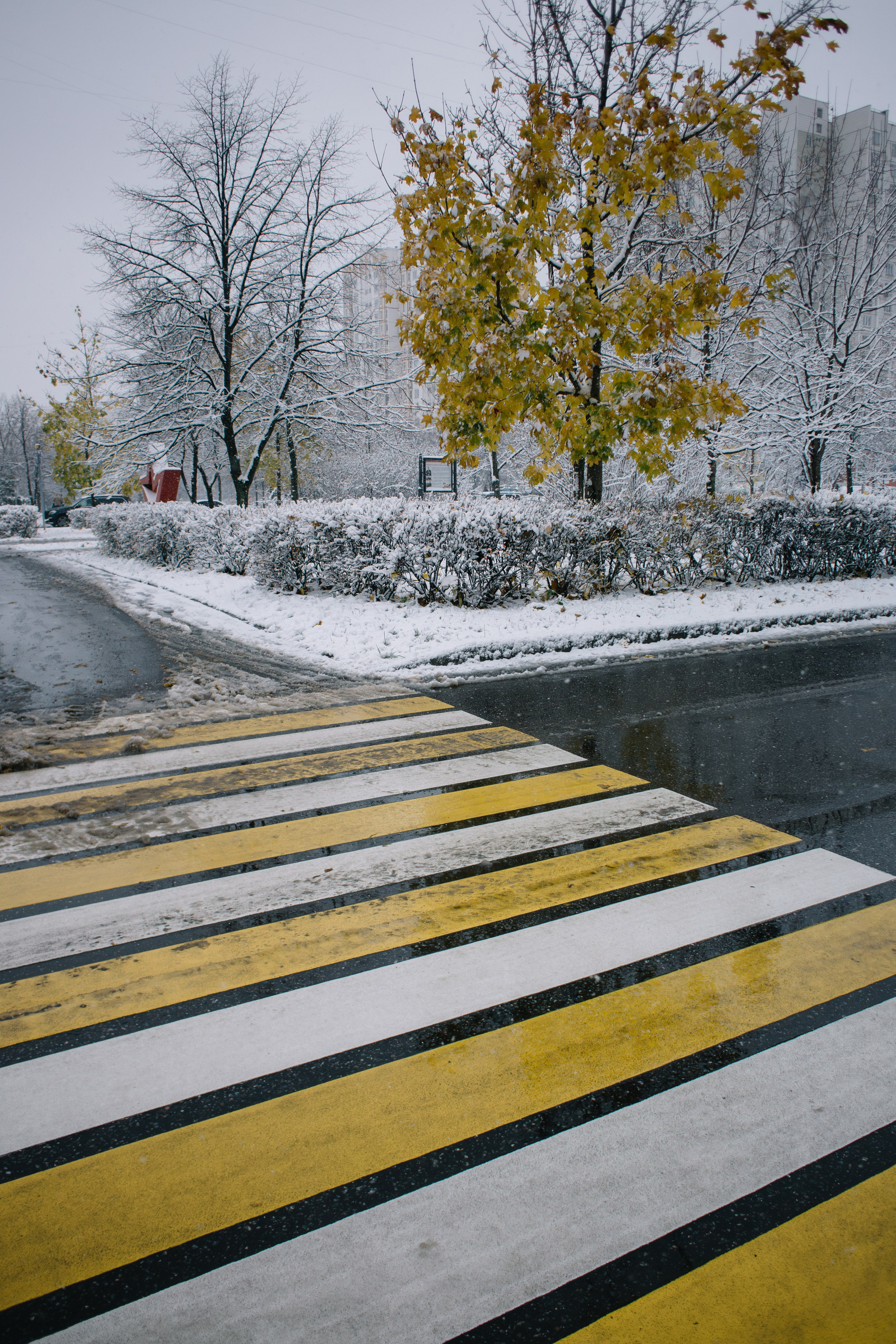 Untitled. Свадебный и Event фотограф в Москве | Андрей Губренко | Gubrenko