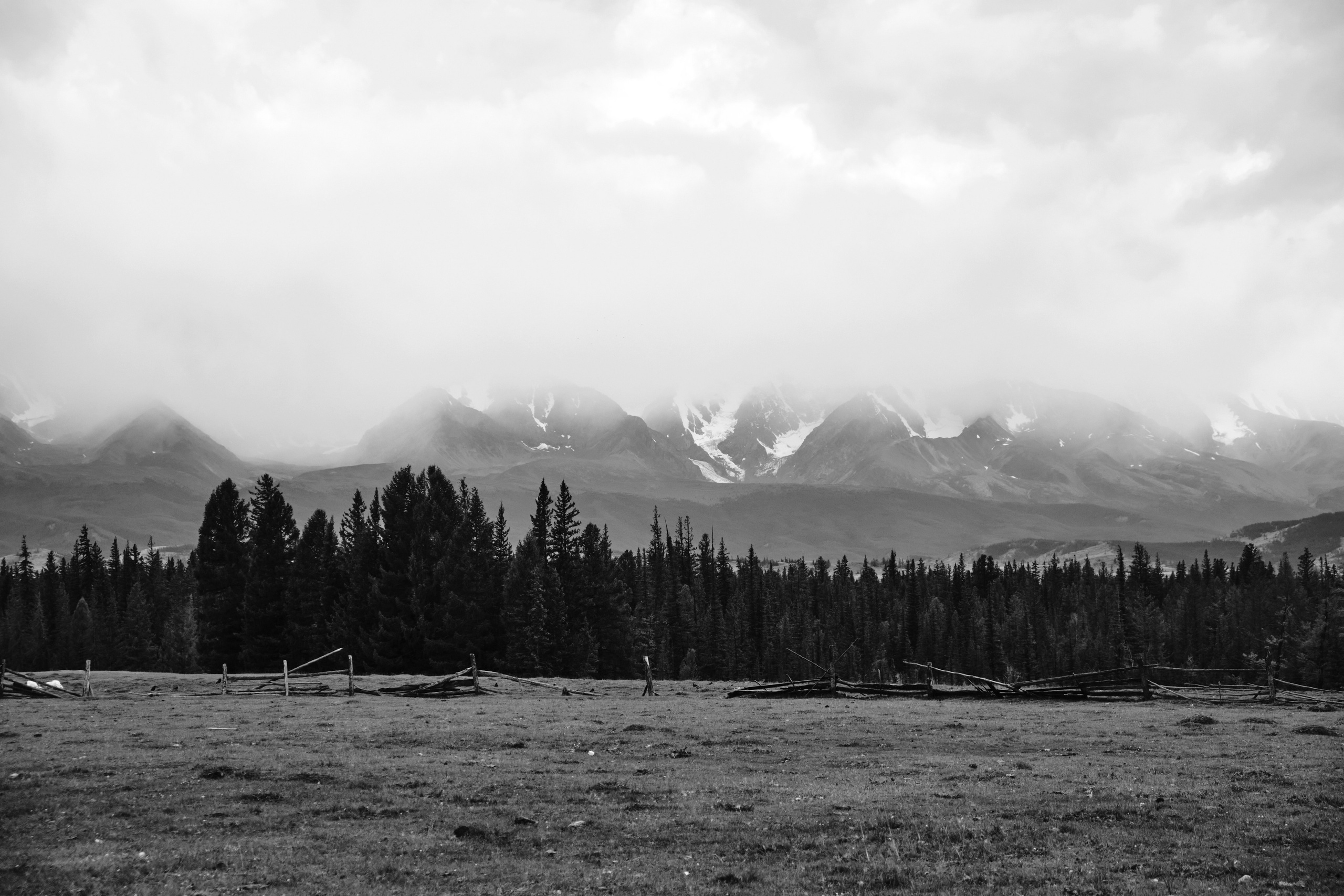 Контакты. Reshonov Photo