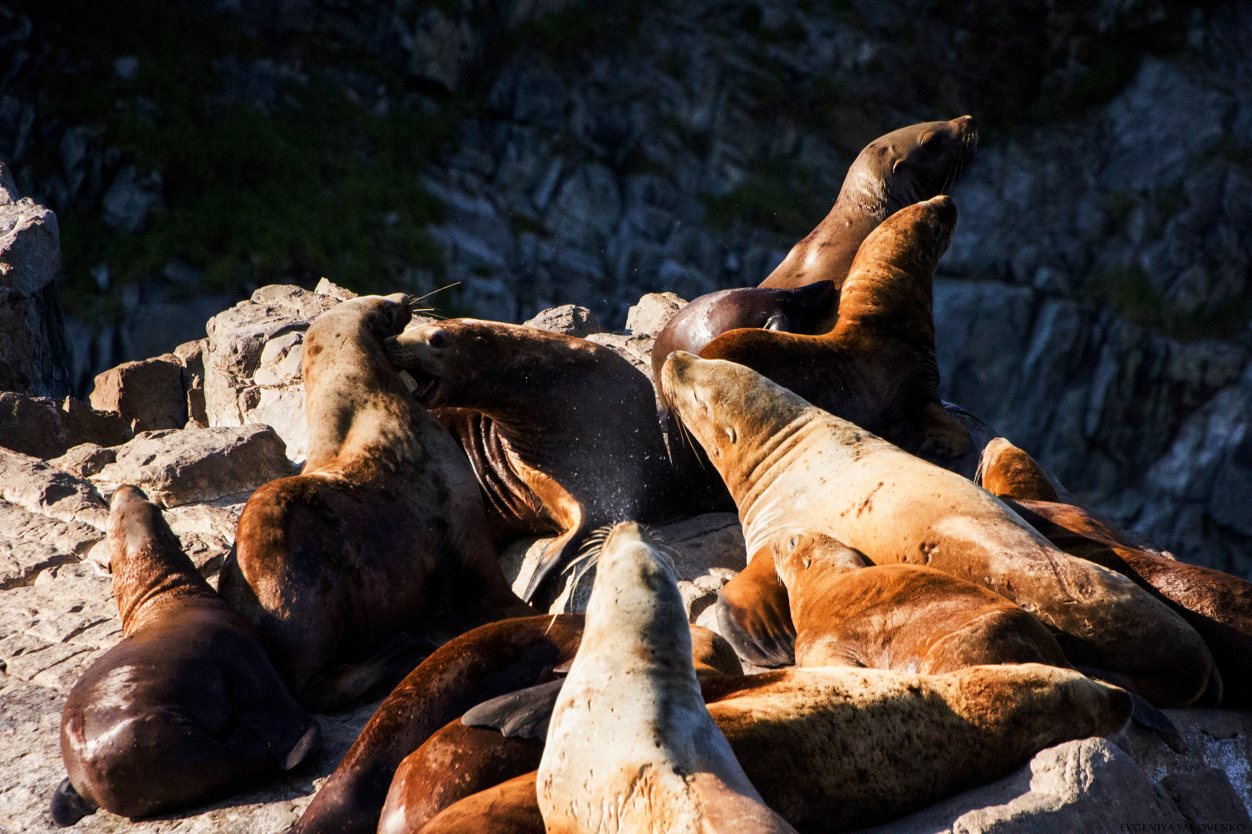 Камчатка, 2018. Портретный фотограф в Москве Евгения Яковенко
