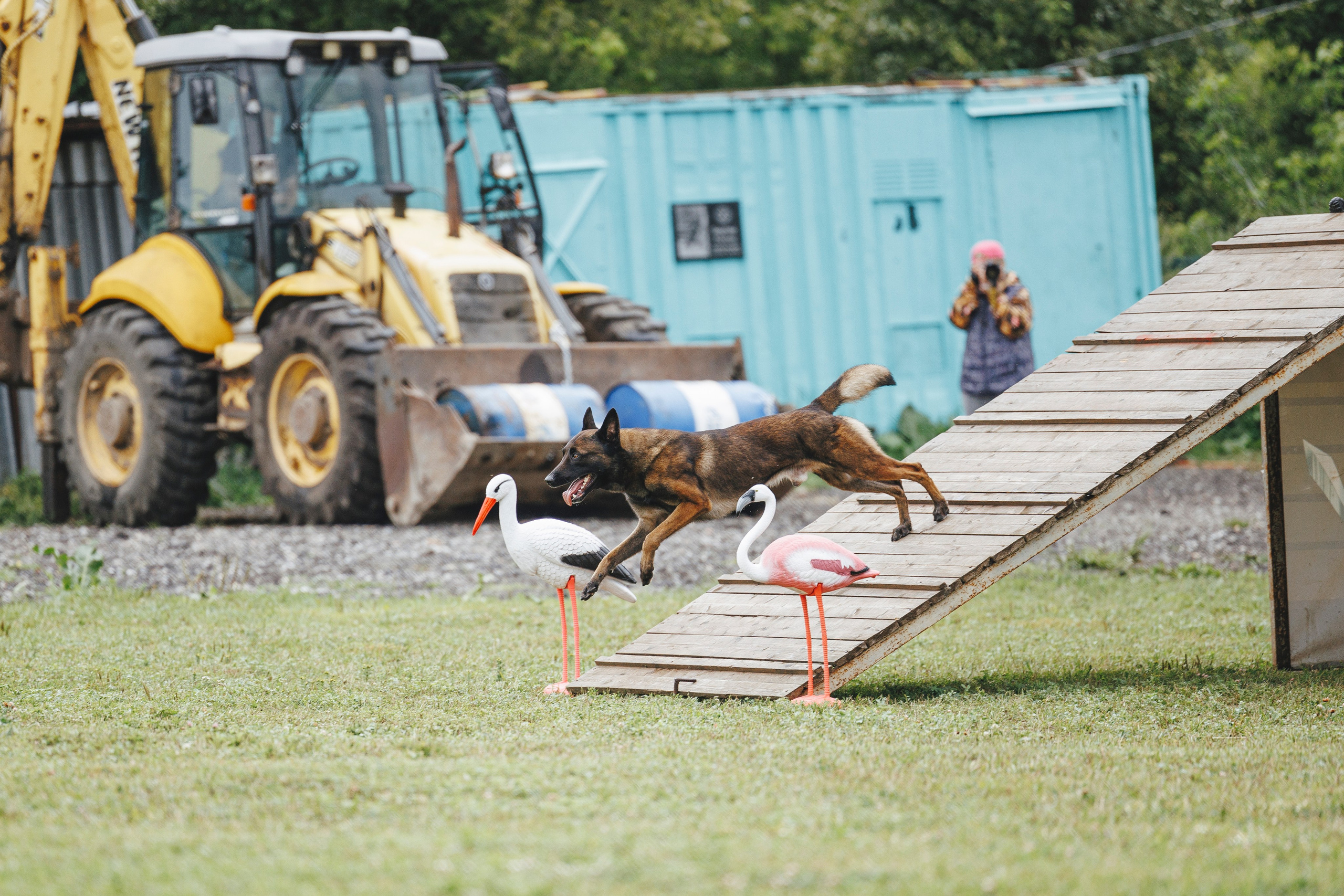 08.08.25-10.08.25 ЧР по мондьорингу г. Вологда. Фотограф-анималист Анна Маринич
