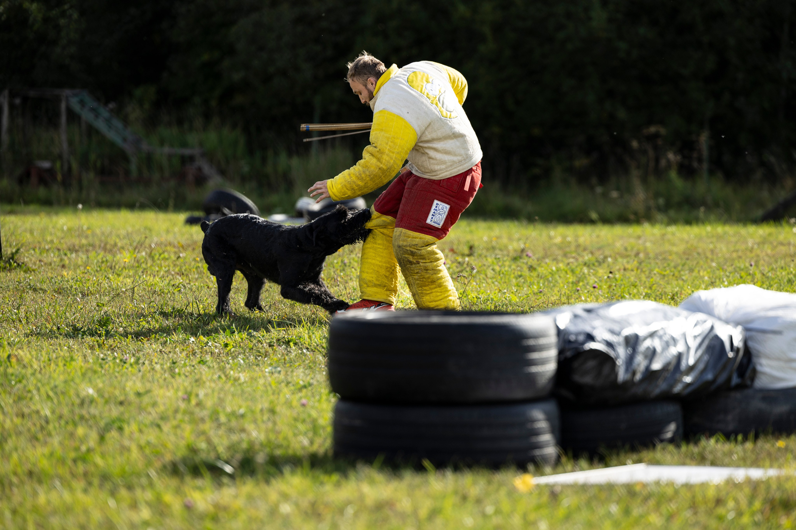 Испытания по Мондьорингу г. Пушкин. Фотограф-анималист Анна Маринич