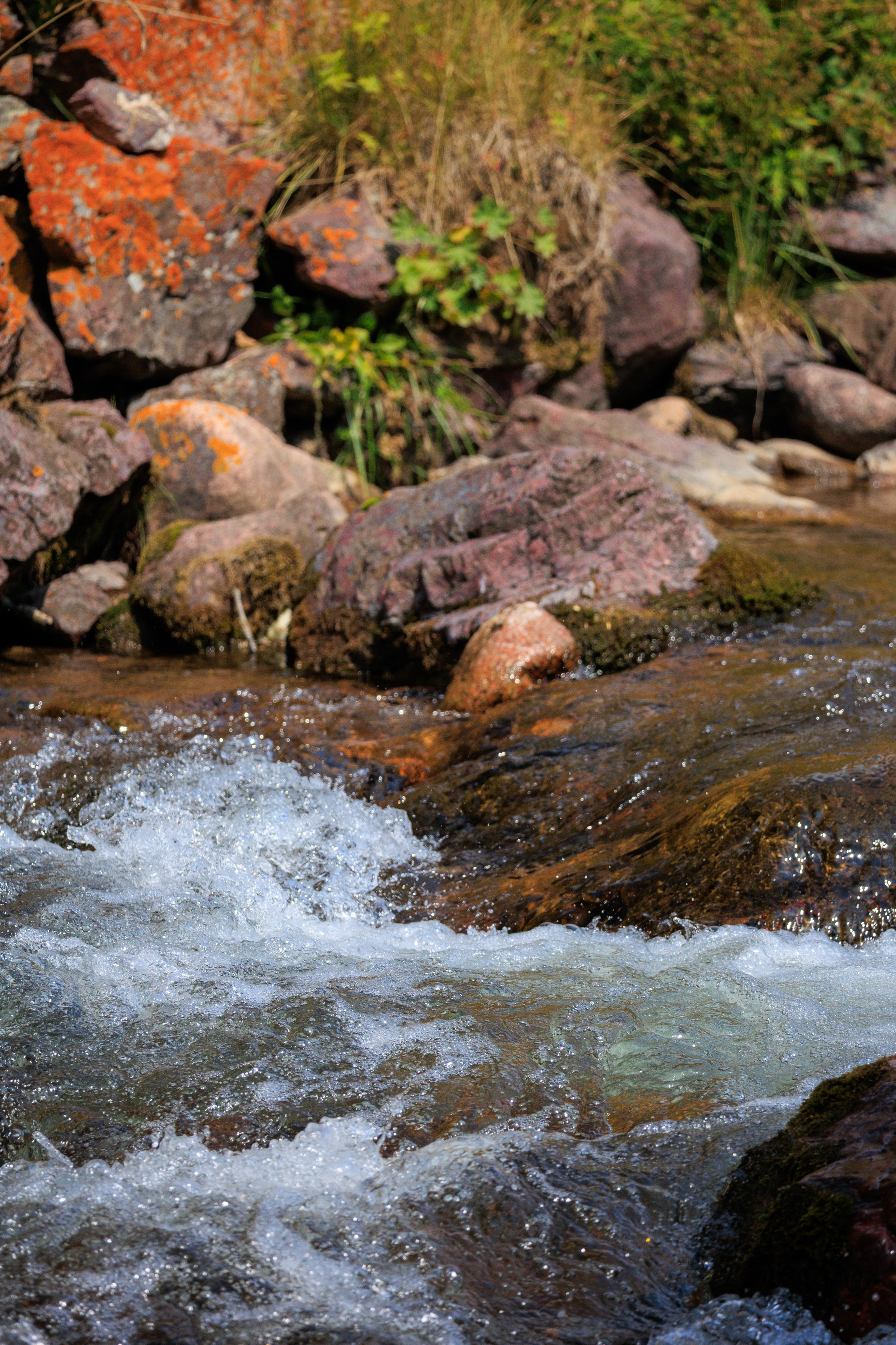 Плато Ассы, озеро Иссык и водопад: комфорт-маршрут, джипы, мини-группа. Экскурсии и туры по Алматы