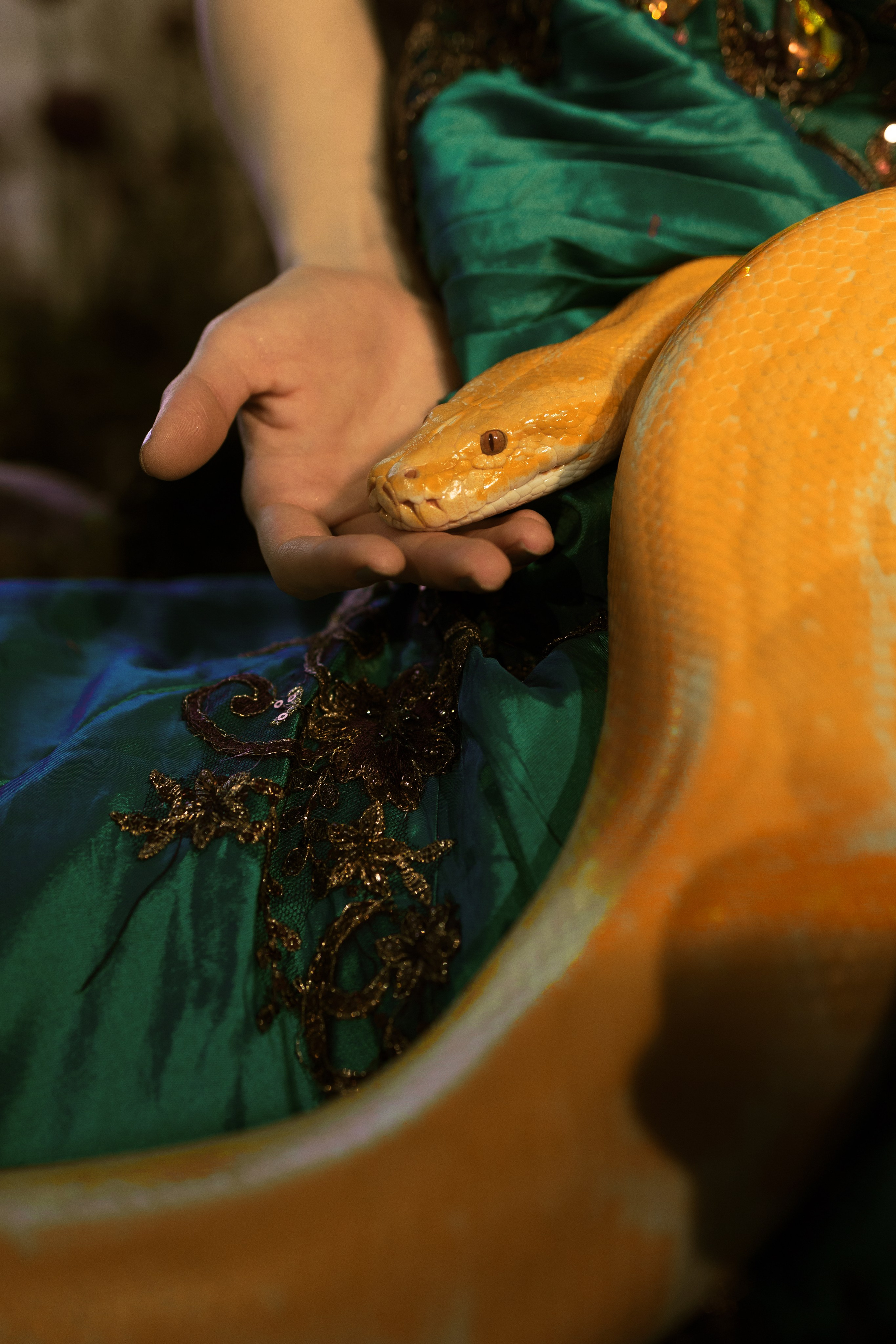 Спящая красавица