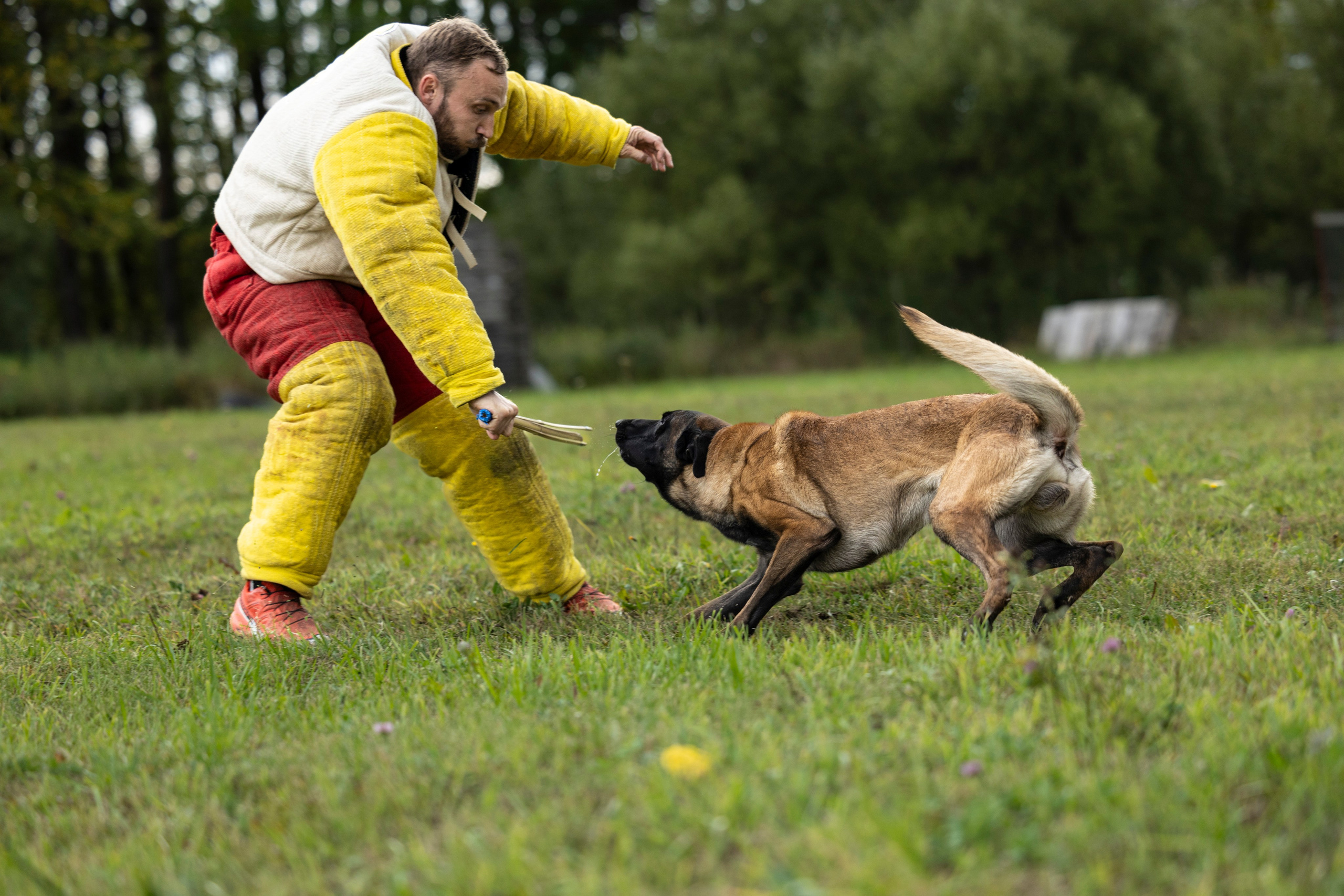 Испытания по Мондьорингу г. Пушкин. Фотограф-анималист Анна Маринич