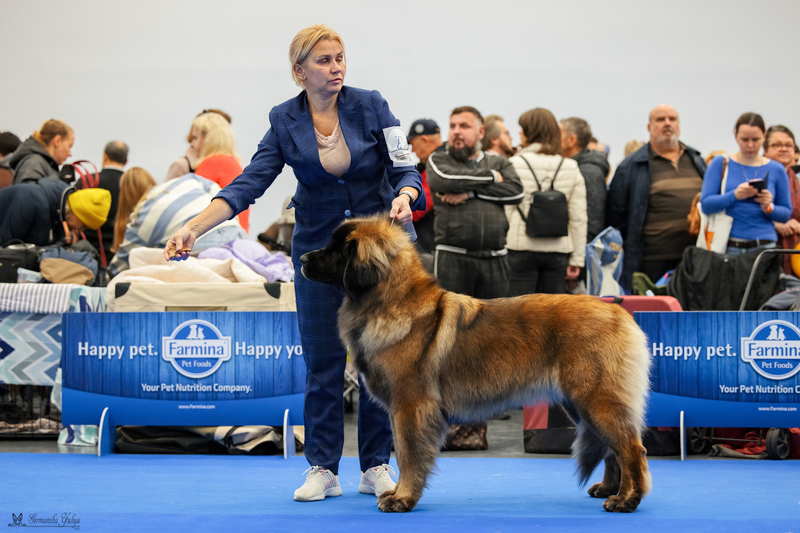 Нижний Новгород 21-22.10.2023. Фотограф-анималист Юлия Германика