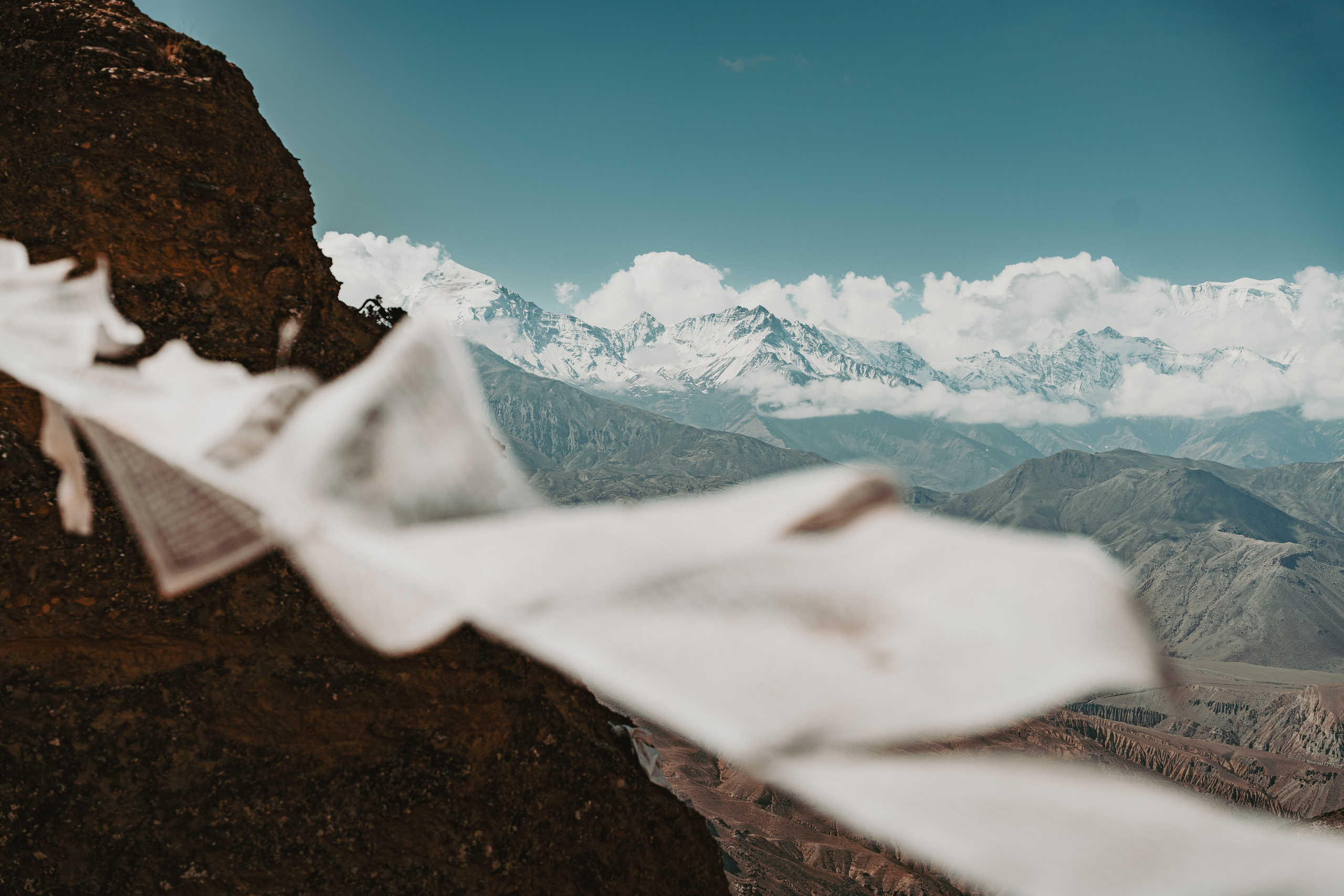 Королевство Мустанг. Dmitry Ippolitov