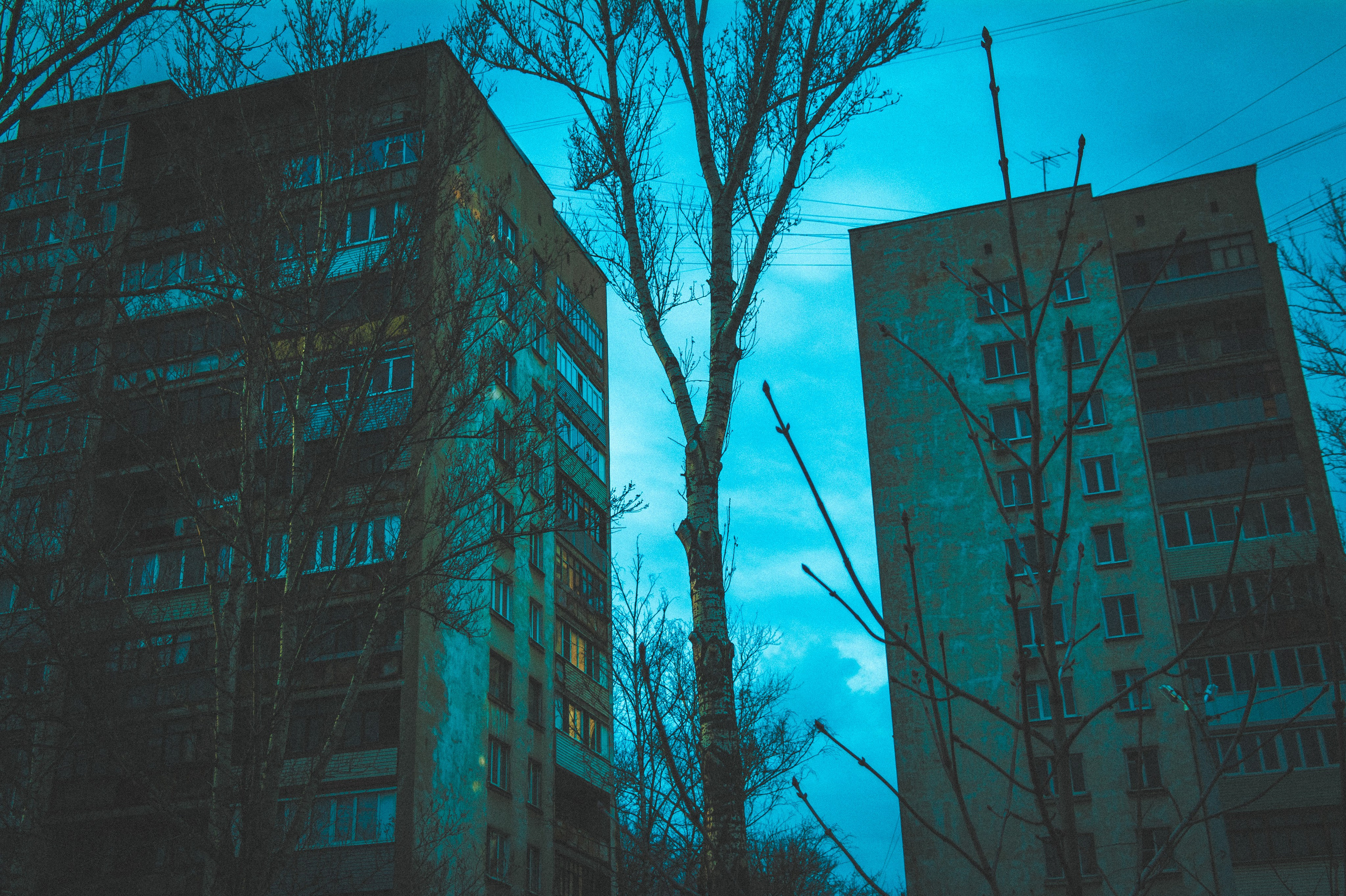 Lady youth. Den Mirov — Photographer, Musician