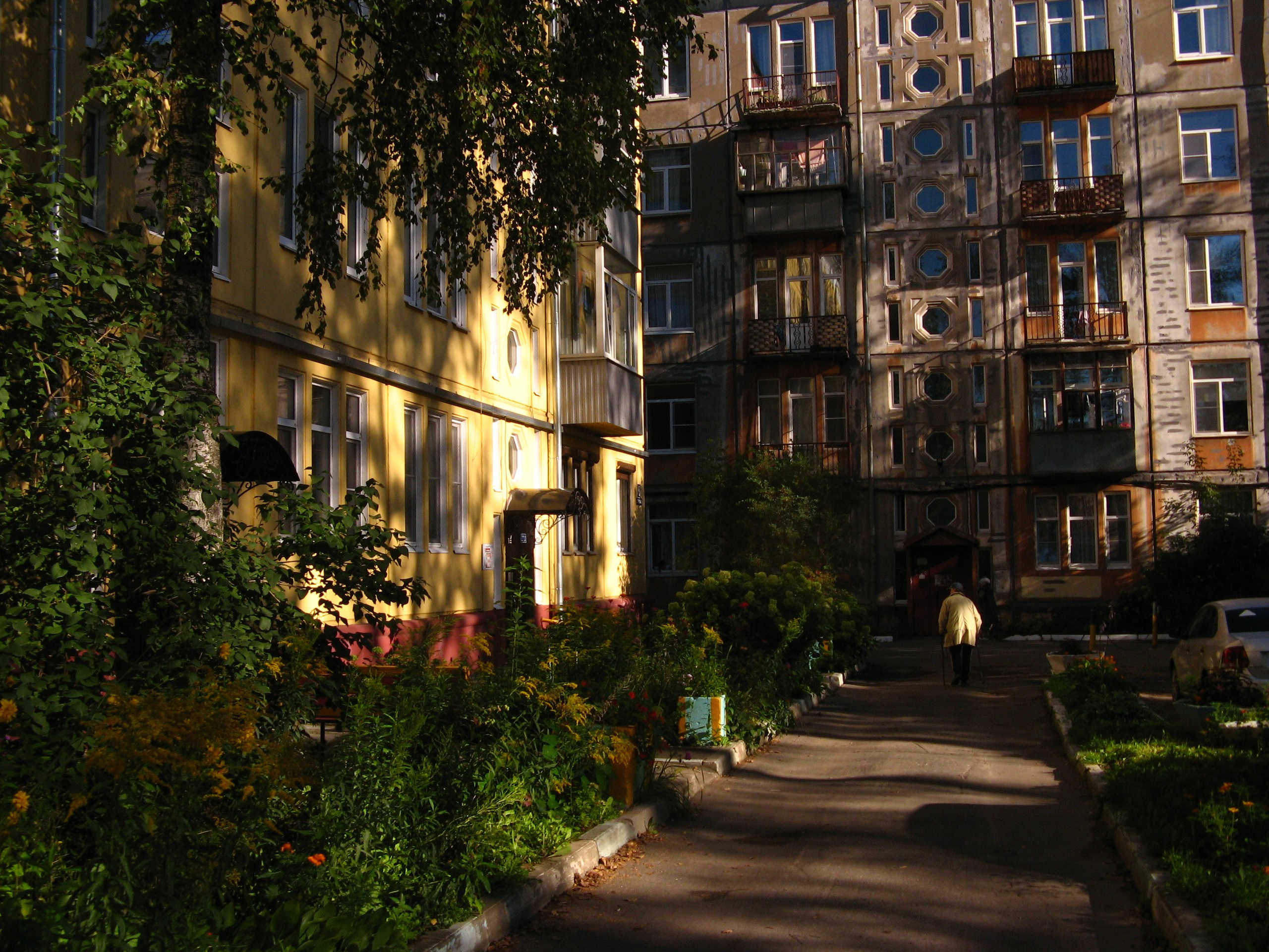 Сентябрь 2025. Den Mirov — Фотограф, Музыкант