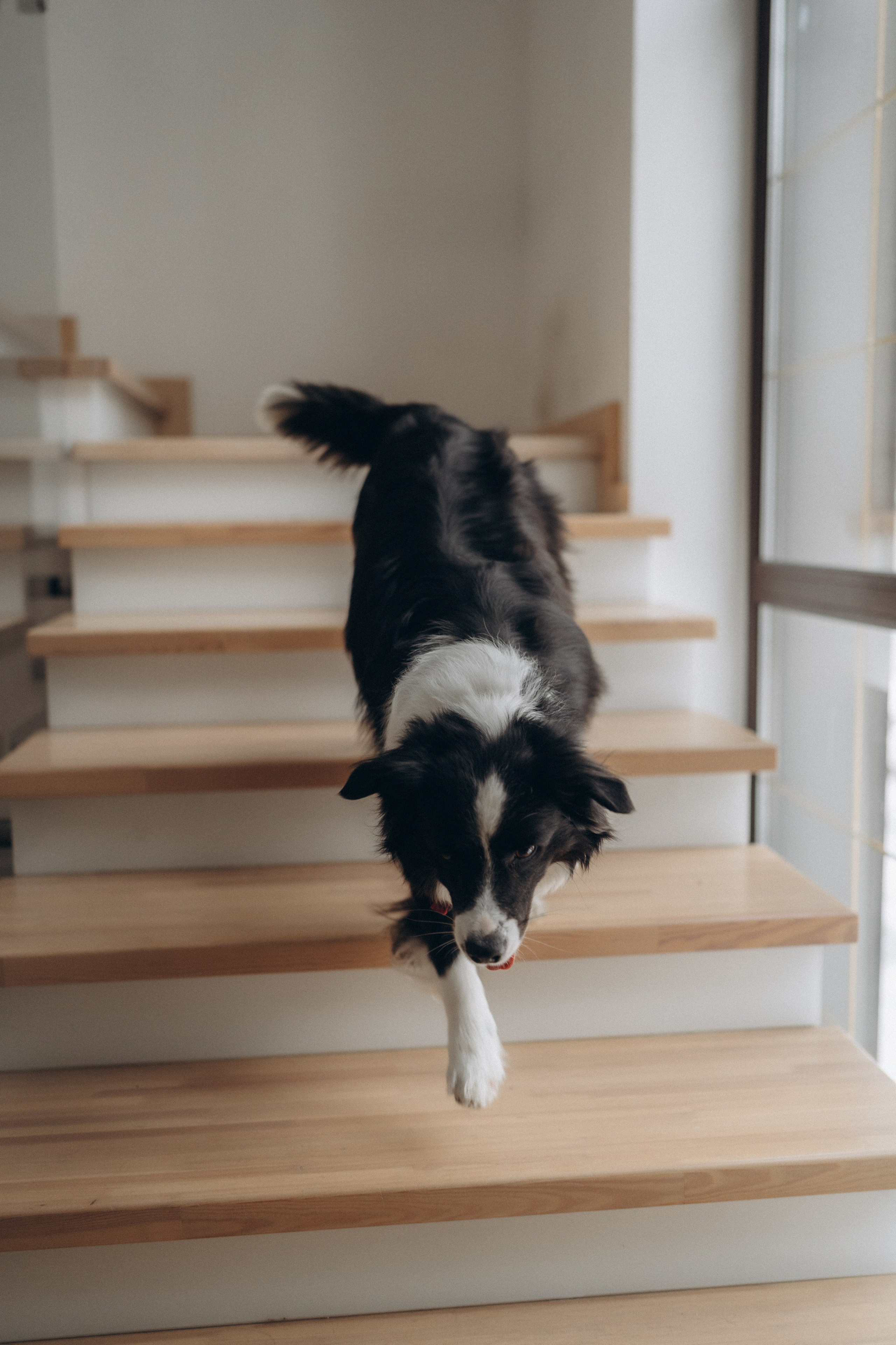 Счастье живет здесь. Семейный фотограф в Ангарске/ Иркутске