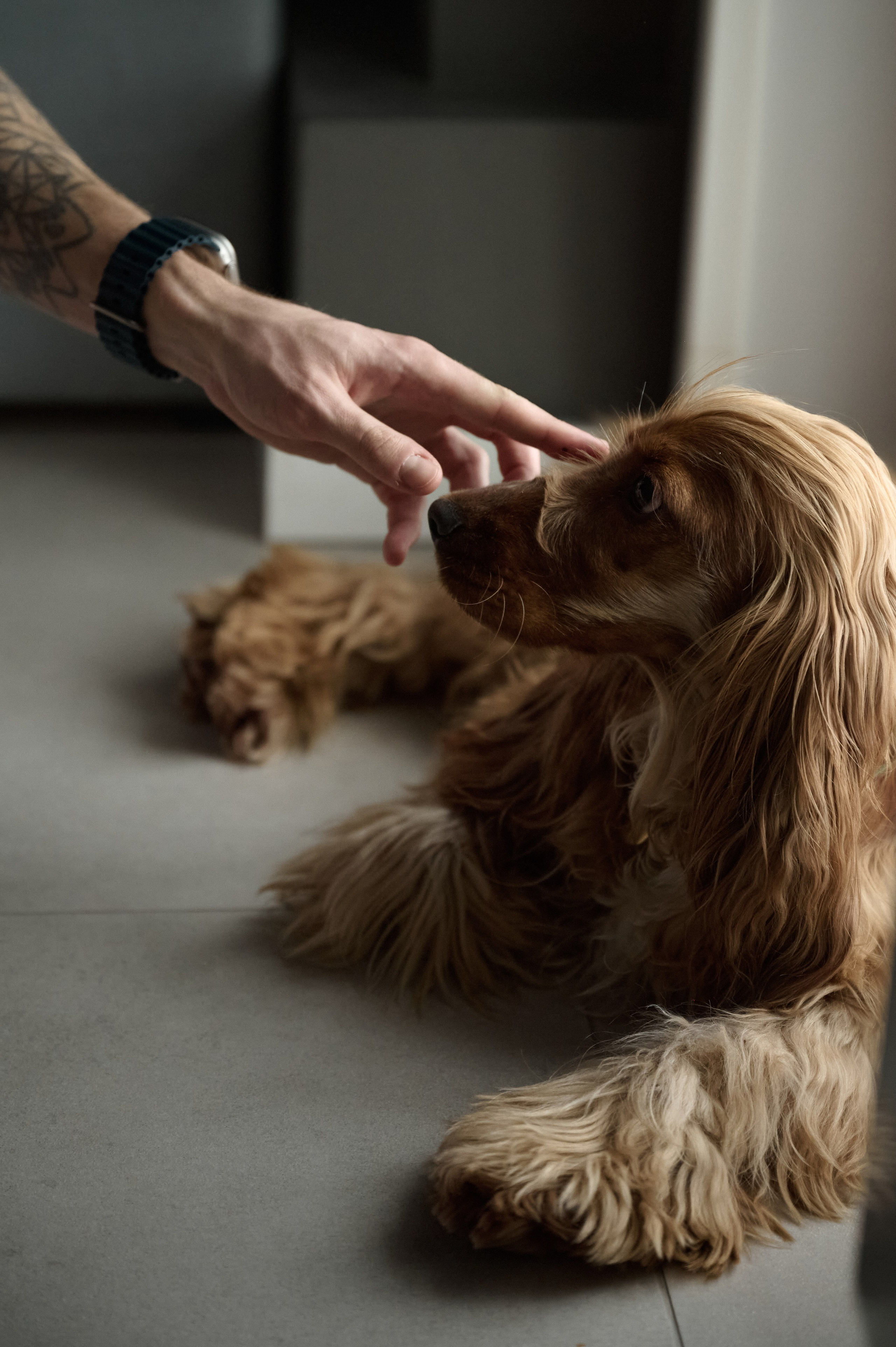 Егор и Аня. Свадебный фотограф МОСКВА, КРЫМ, СМОЛЕНСК АЛЯ КОНОВАЛОВА