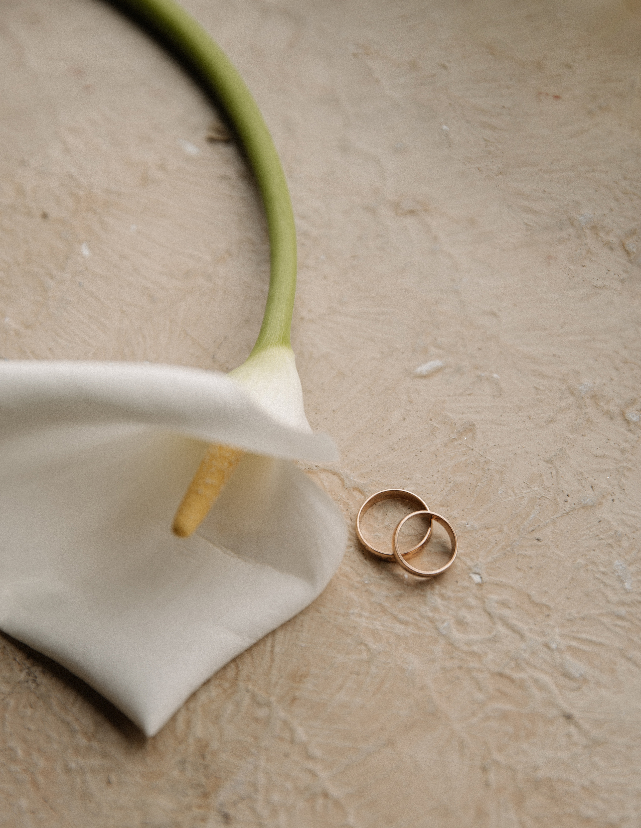 Рузанна & Алексей. Фотограф в Краснодаре и Краснодарском крае