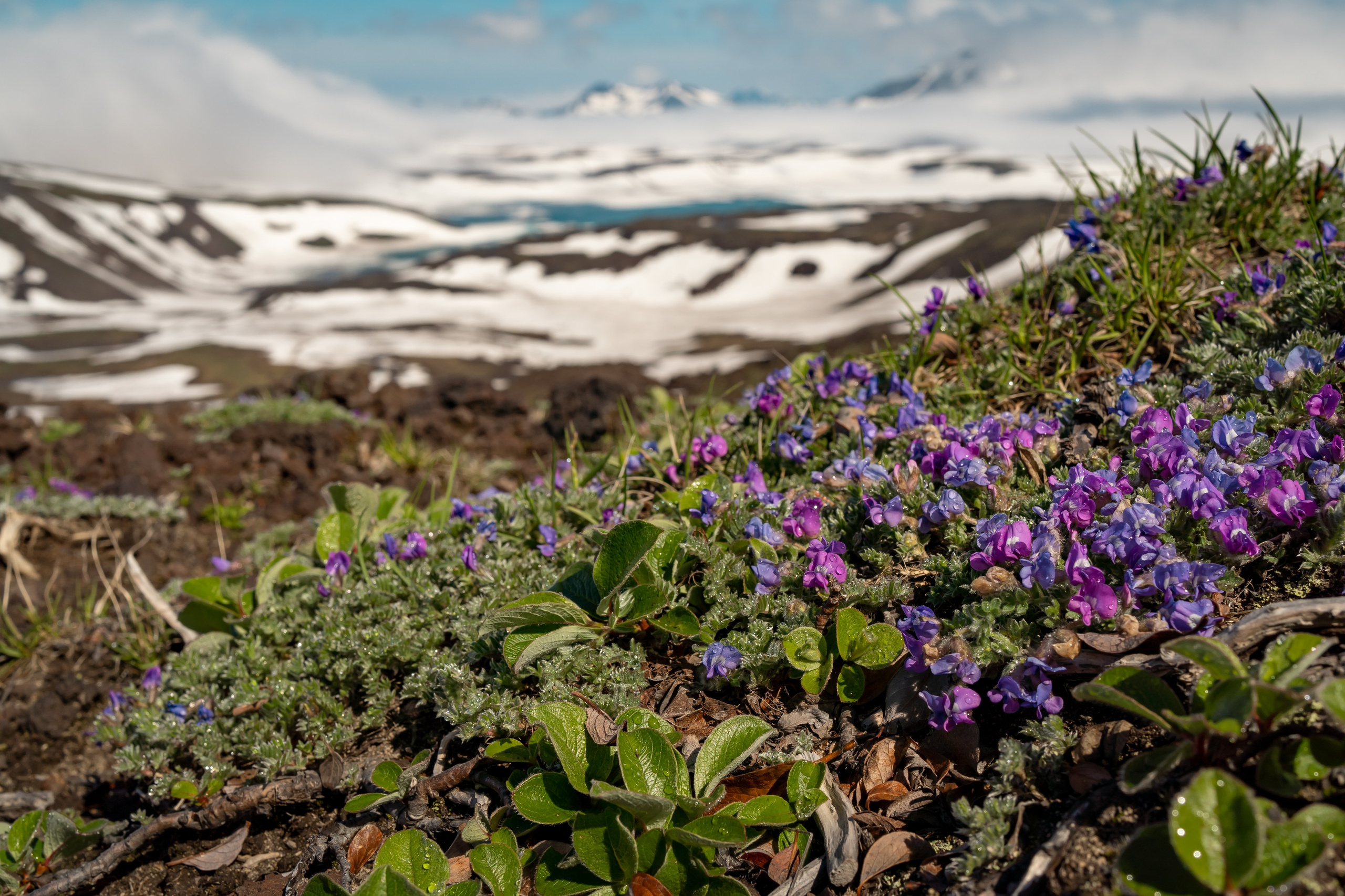 Камчатка. Семейный фотограф Варвара Сорока в городе Москве